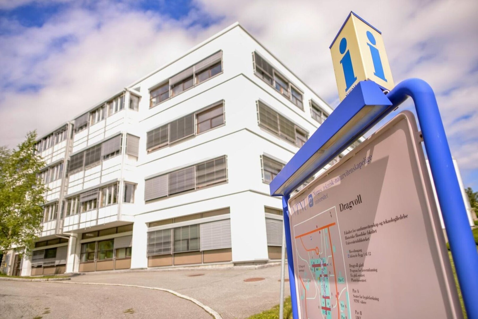 Det er heller ikke langt til NTNU dragvoll. Galleribilde