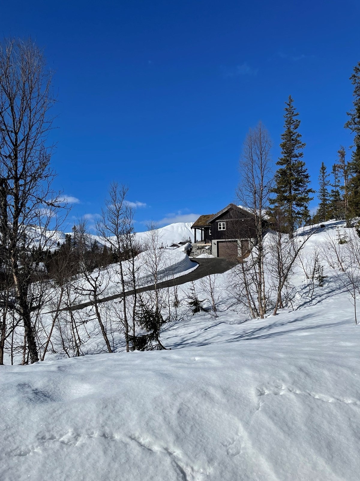 Flott utsikt fra uteplassen. Galleribilde