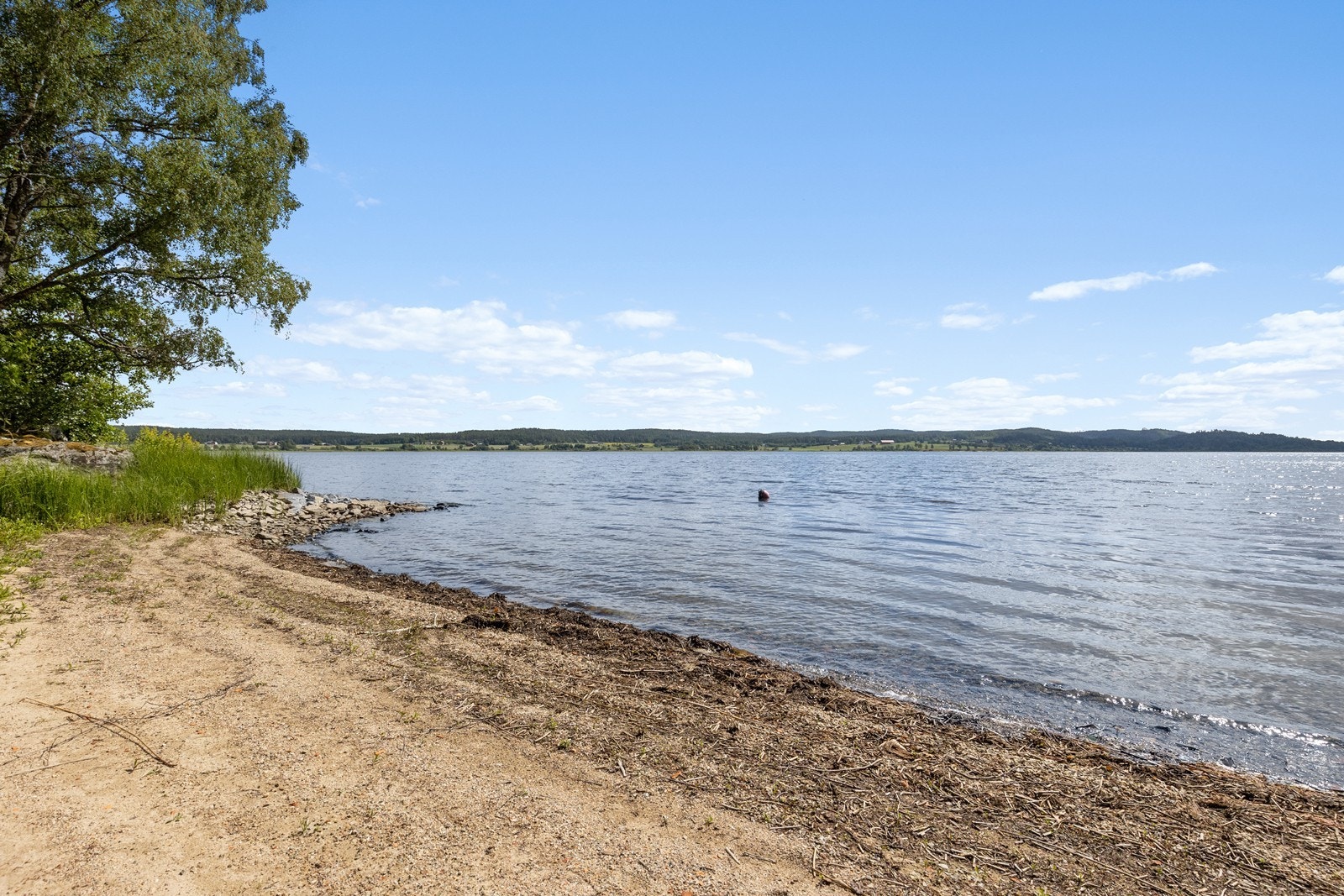 Strand ved båtnaustet Galleribilde