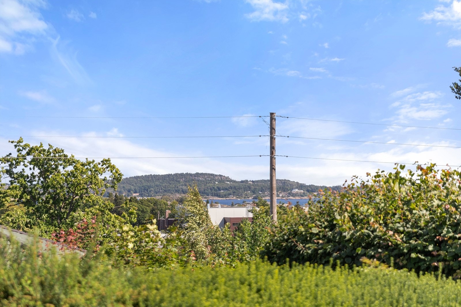 Over hekken kan man skimte sjøen Galleribilde