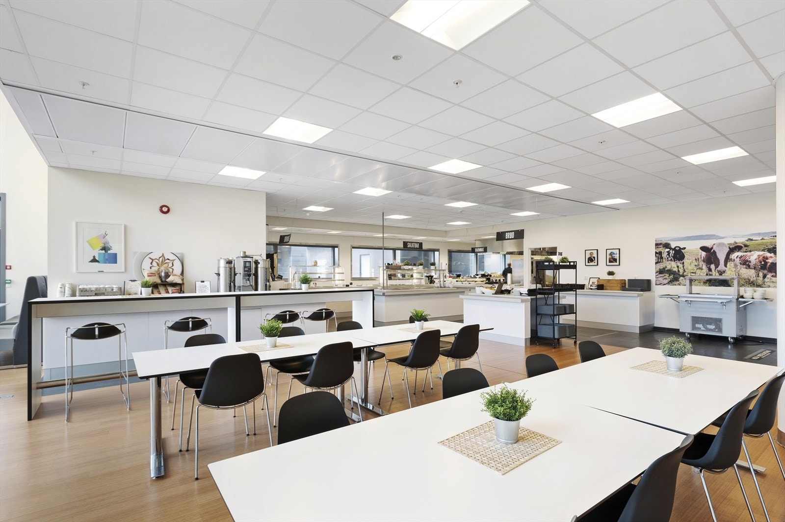 Kantine Galleribilde