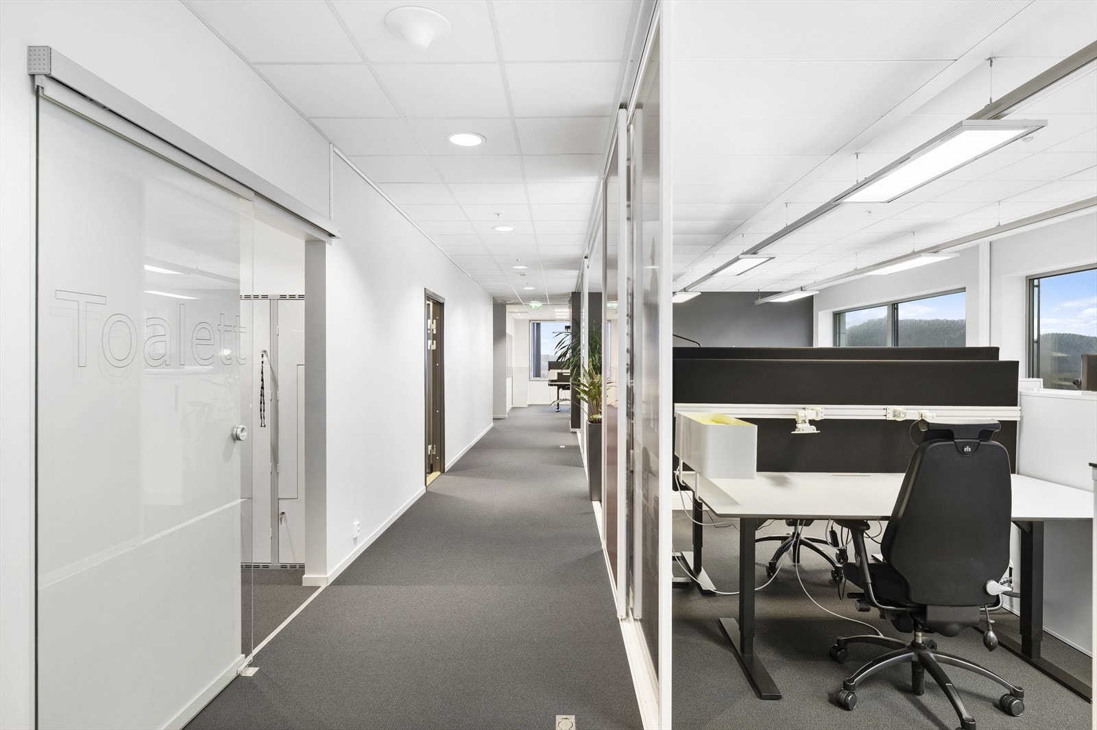 Kontorsone Galleribilde