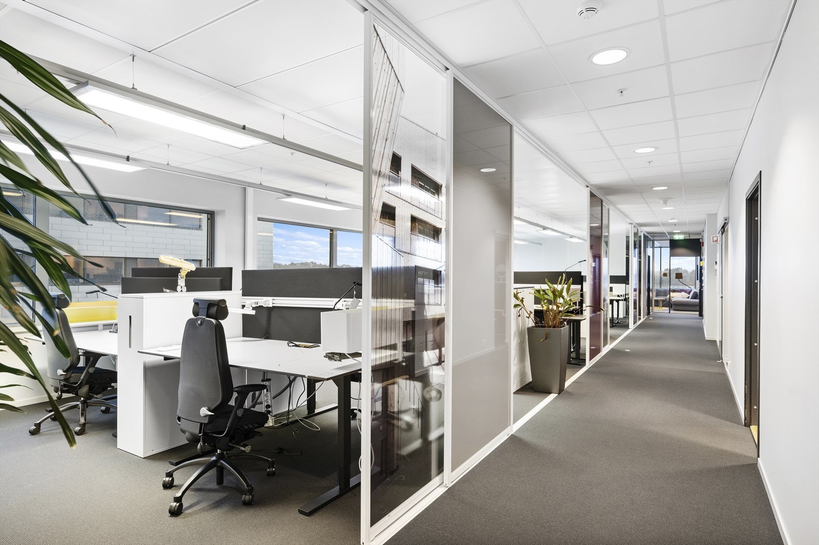 Kontorsone Galleribilde