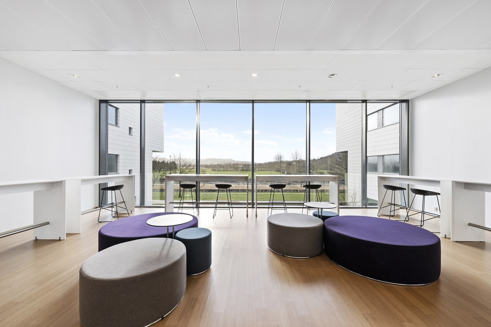 "Mingle" areal ved auditorium Galleribilde