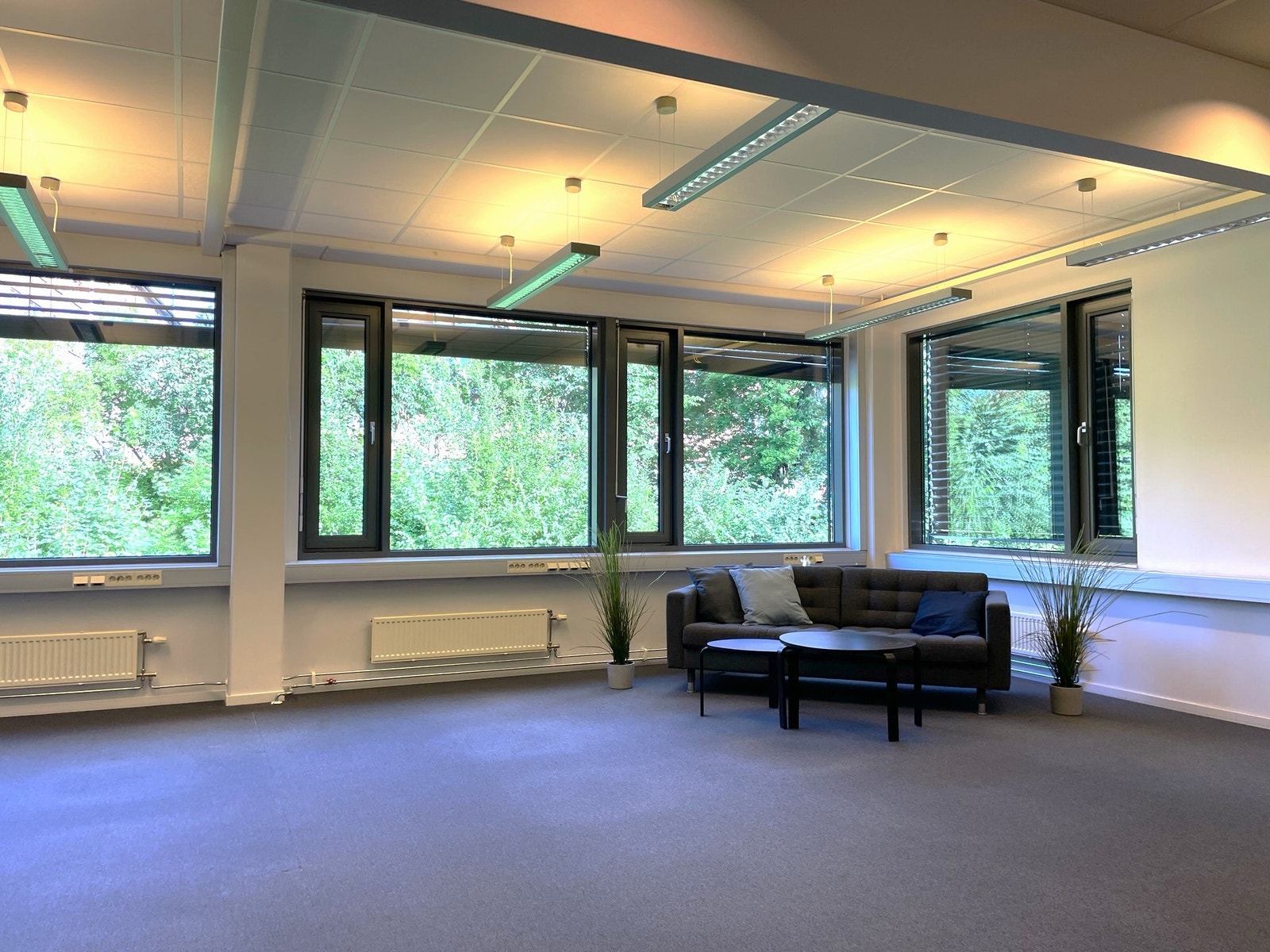 Lokale A Galleribilde