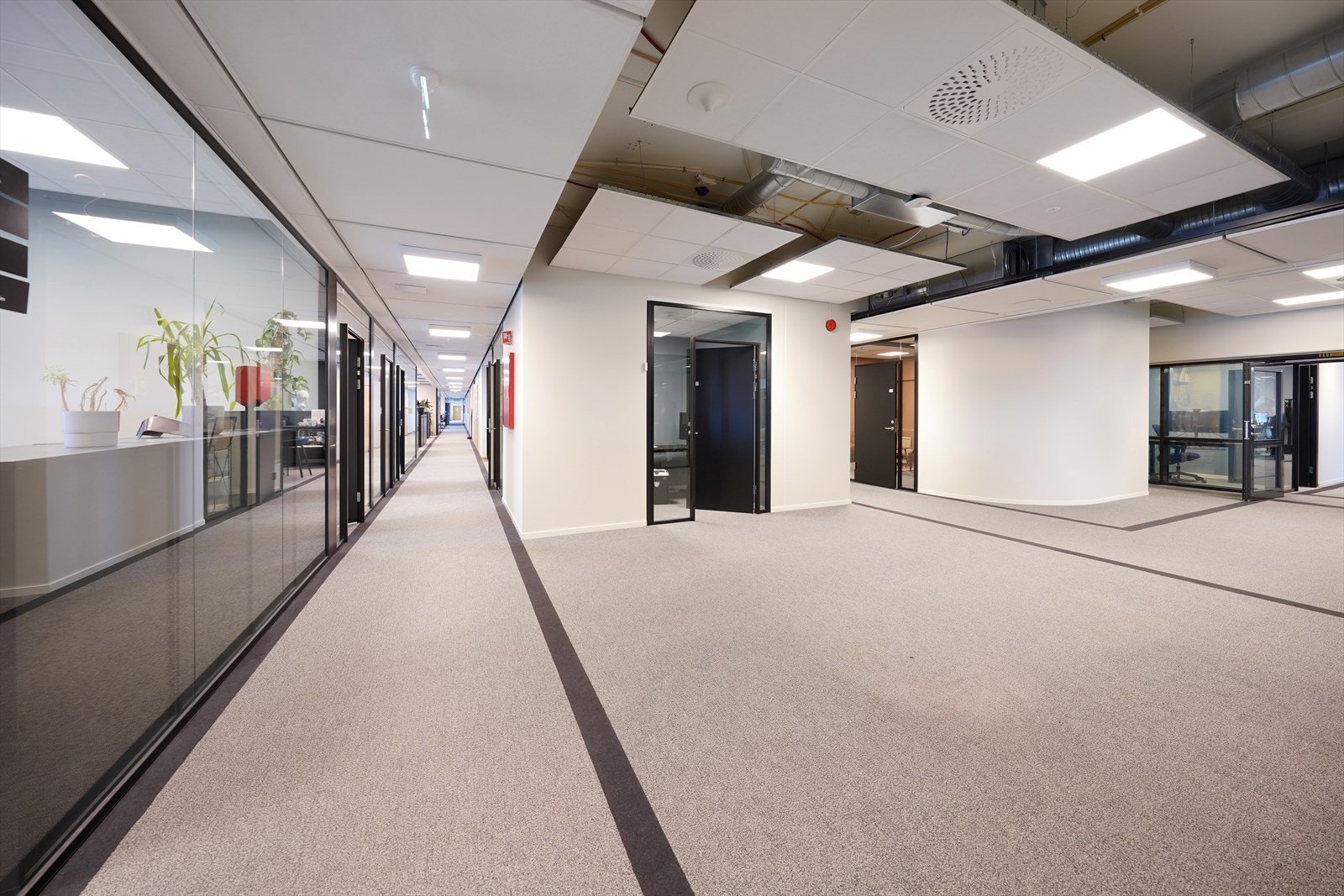 Mulig løsning Galleribilde