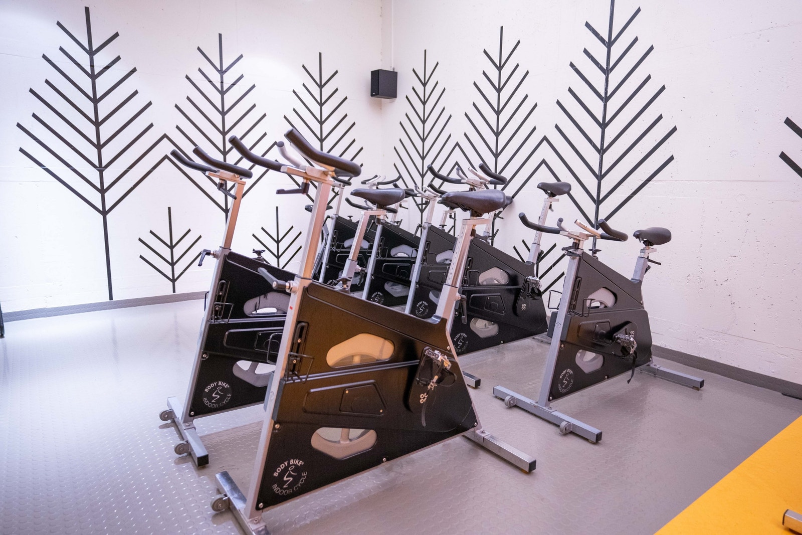 Treningsrom med håndkleservice er inkludert Galleribilde