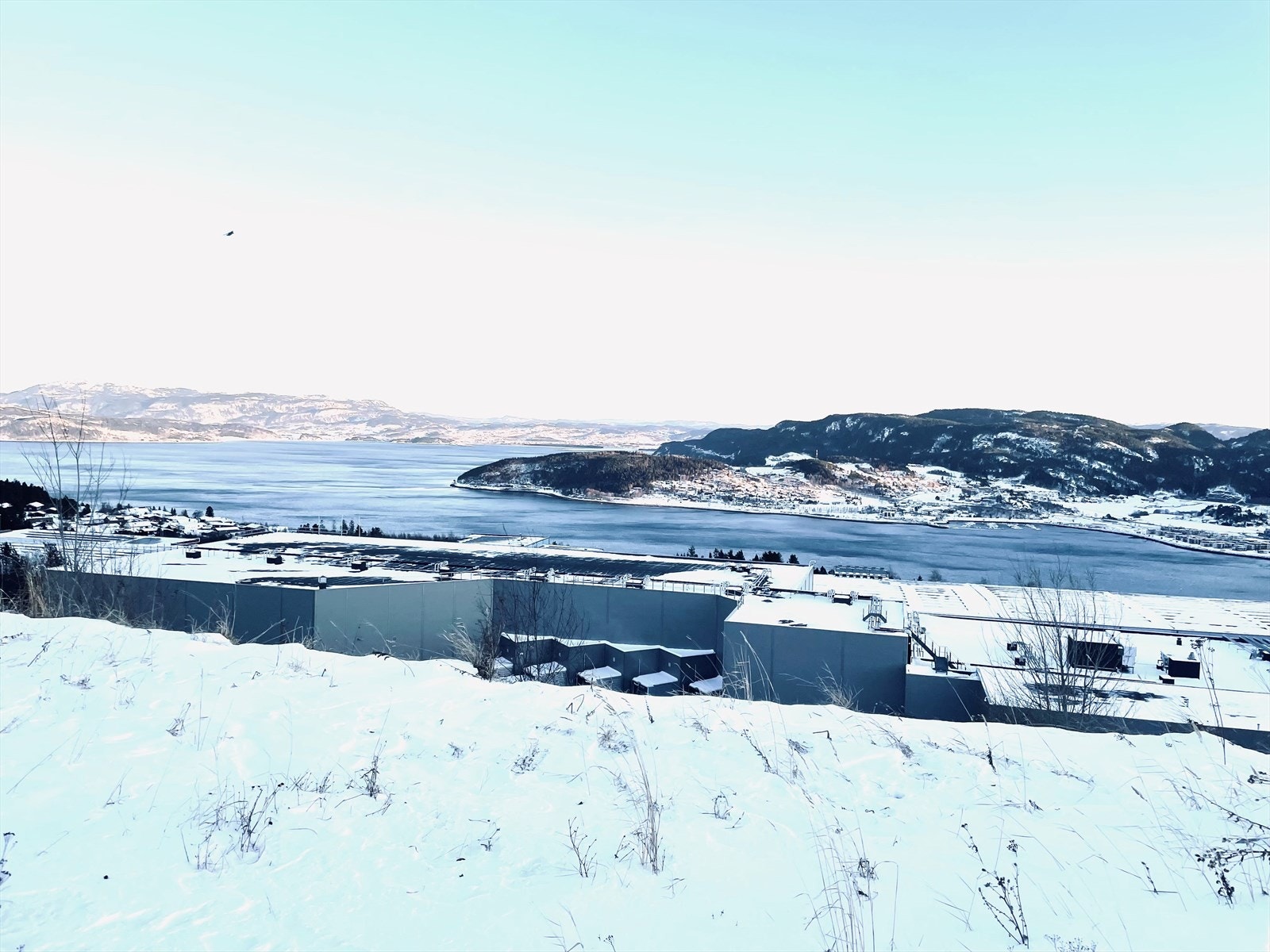 Utsikt over Trondheimsfjorden med Nortura under. Galleribilde