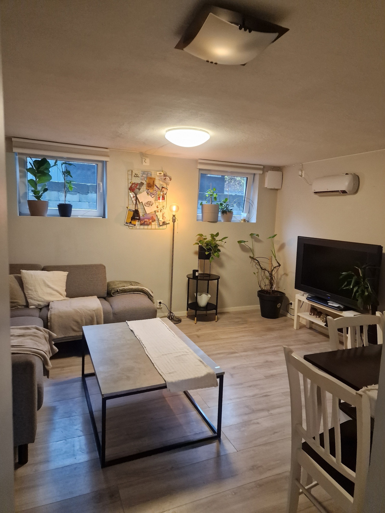 Stue med Vinduer Galleribilde