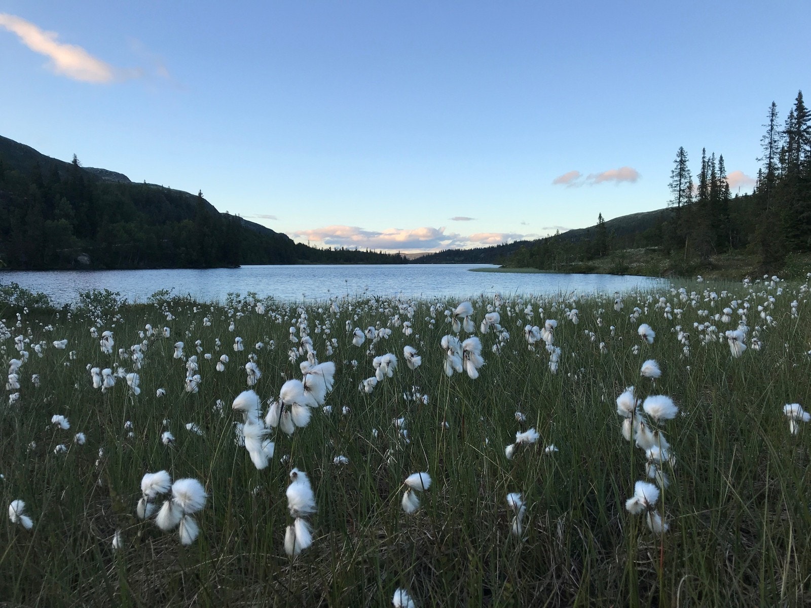 Slokovatnet ligger et steinkast fra hytta. Her er det tillatt - og populært - med isfiske vinterstid. Galleribilde