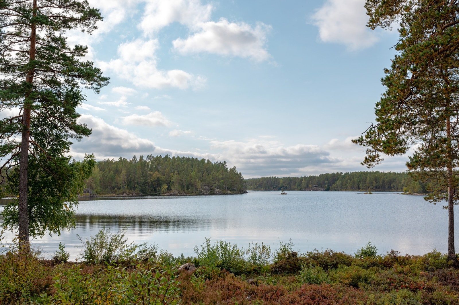 På sommeren er Vortungen et perfekt sted for padling, fiske og bading Galleribilde