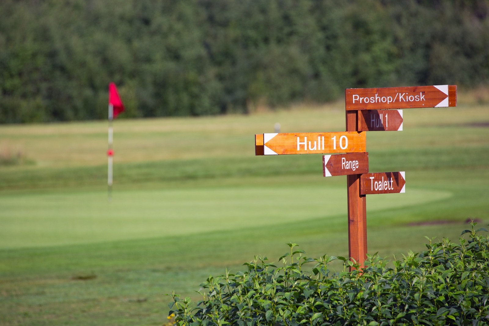 Hva med en runde golf på Romerike golfklubb, kun 15 minutter fra boligene? Galleribilde