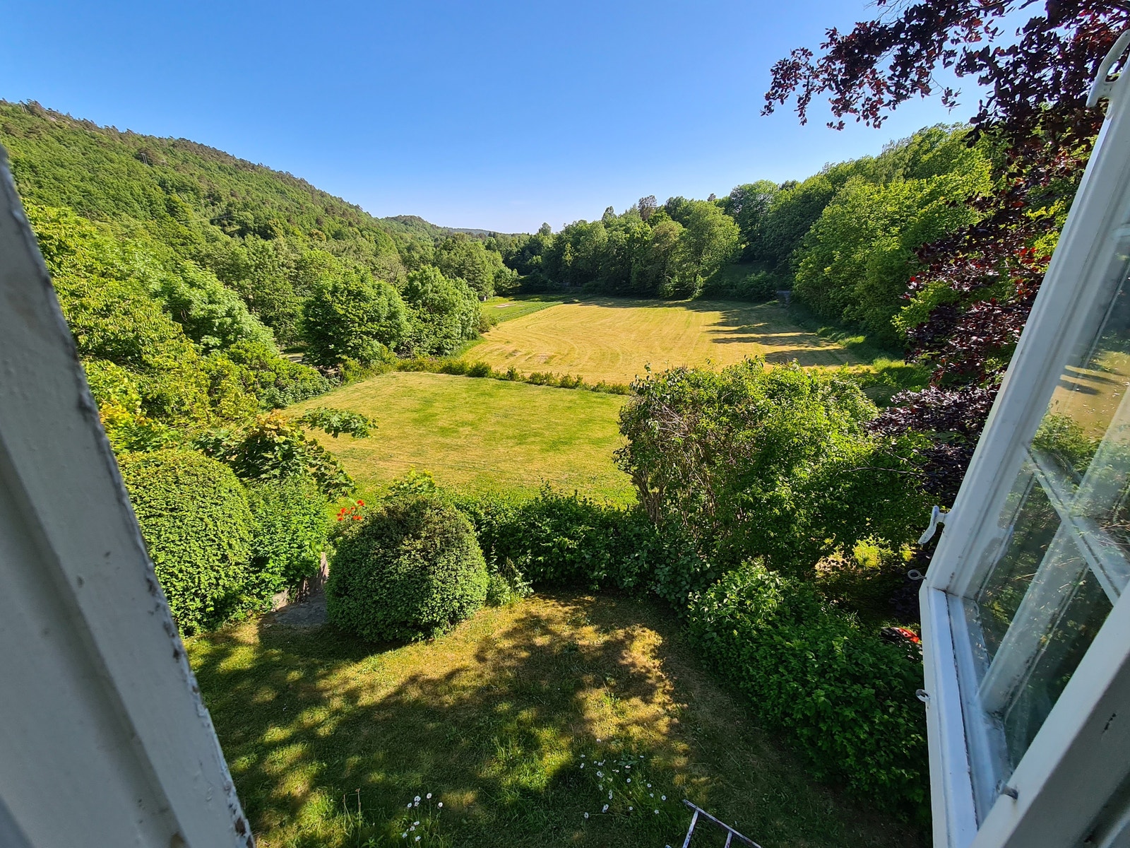 Flott utsikt over dalen. Galleribilde