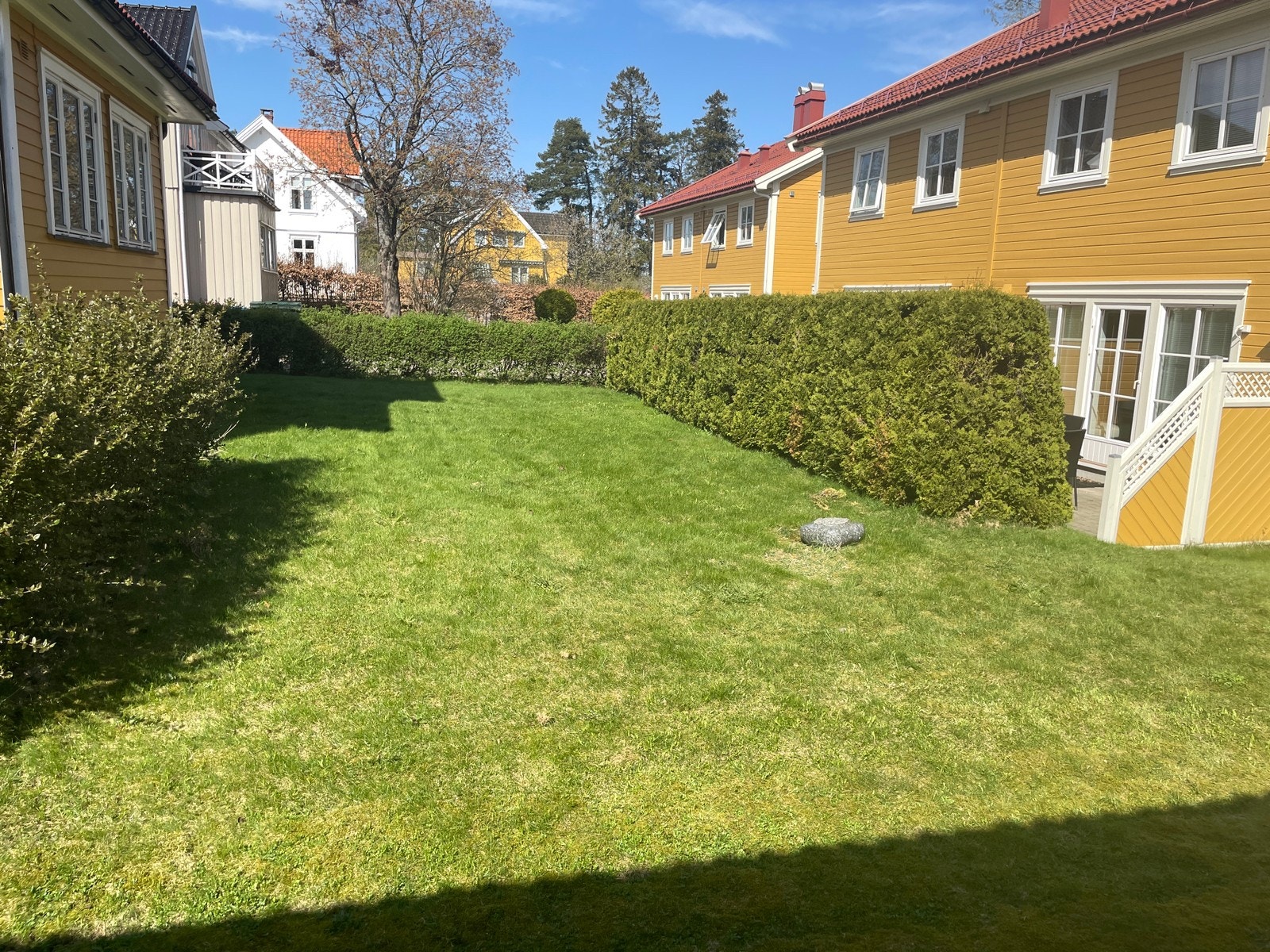 Plen deles mellom beboere i A og B (April 2024) Galleribilde