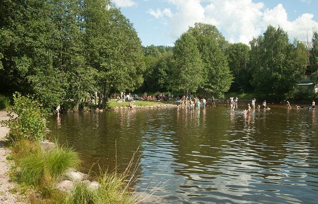 Herlige Stilla/Brekkedammen Galleribilde