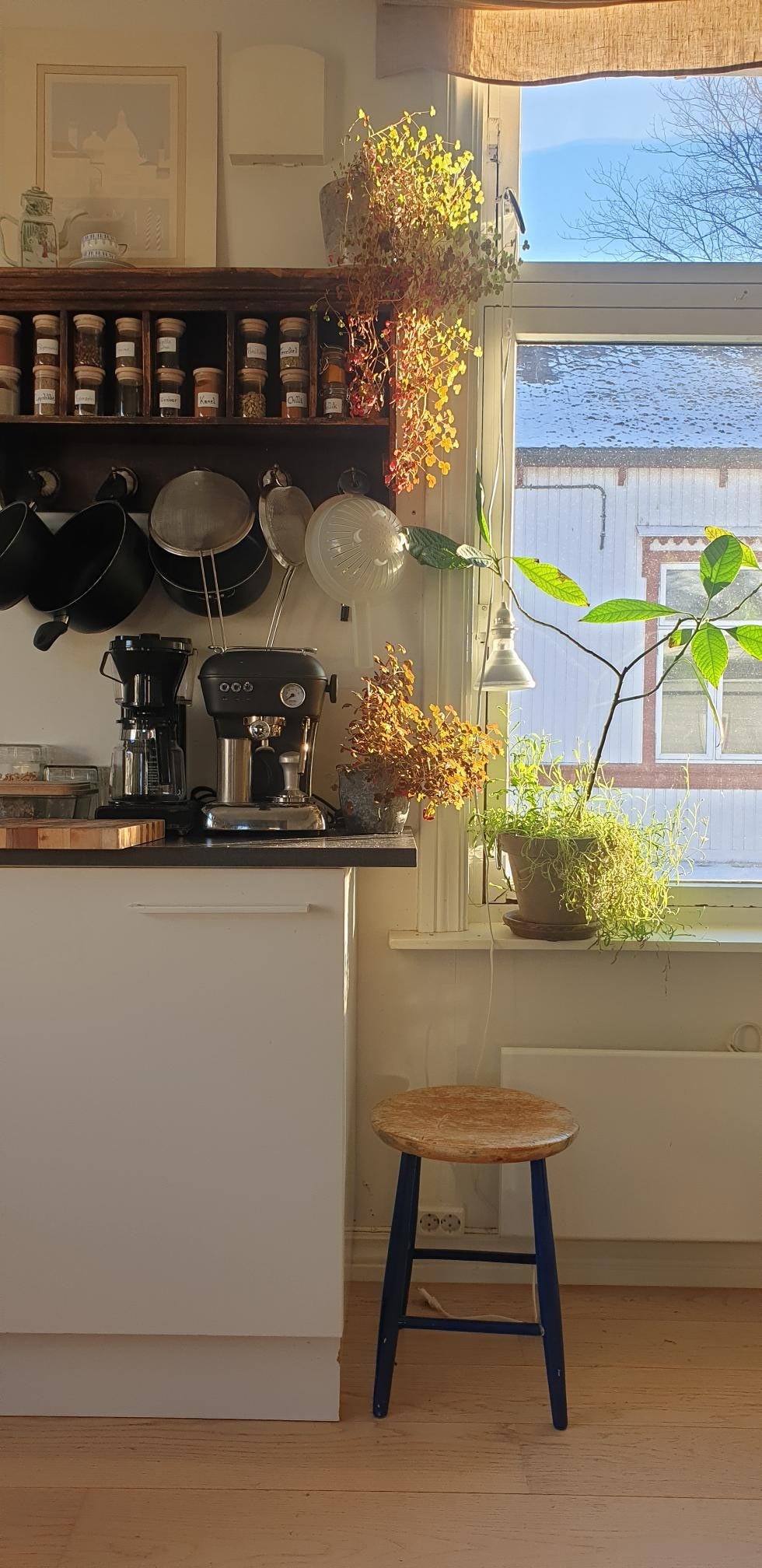 Morgensol Galleribilde