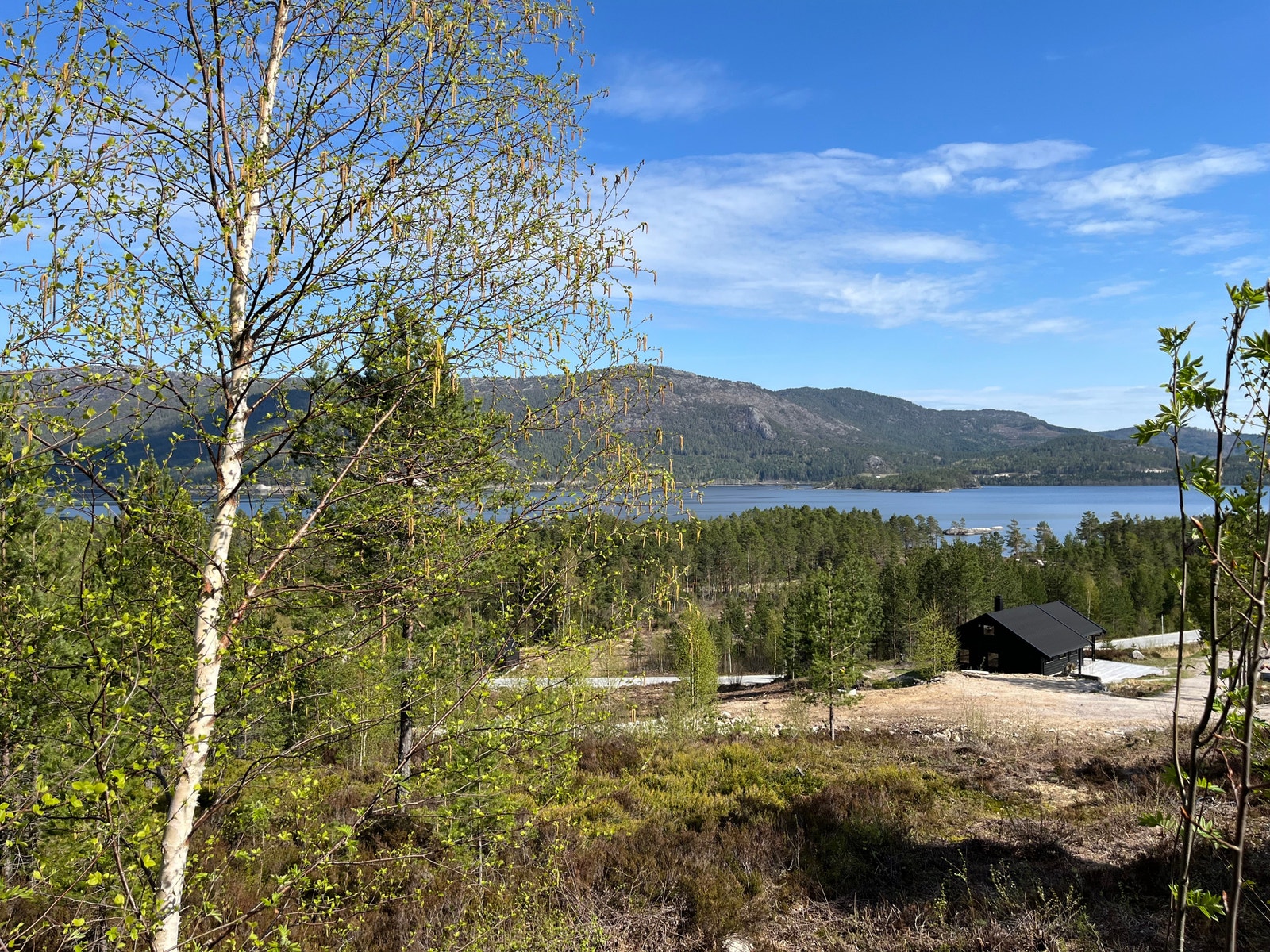 Bilde fra en av tomtene Galleribilde