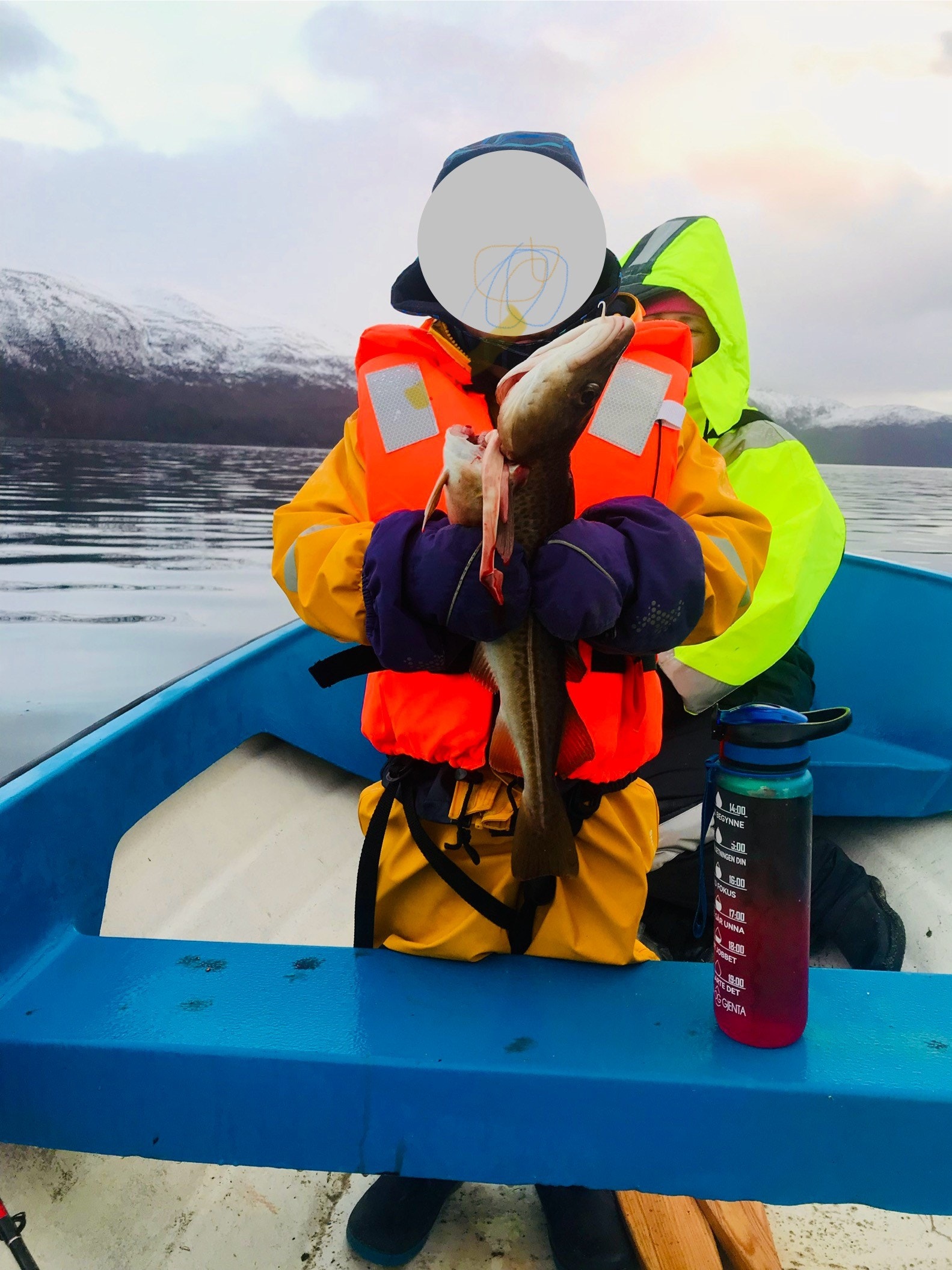 Mye fisk i fjorden.... Galleribilde