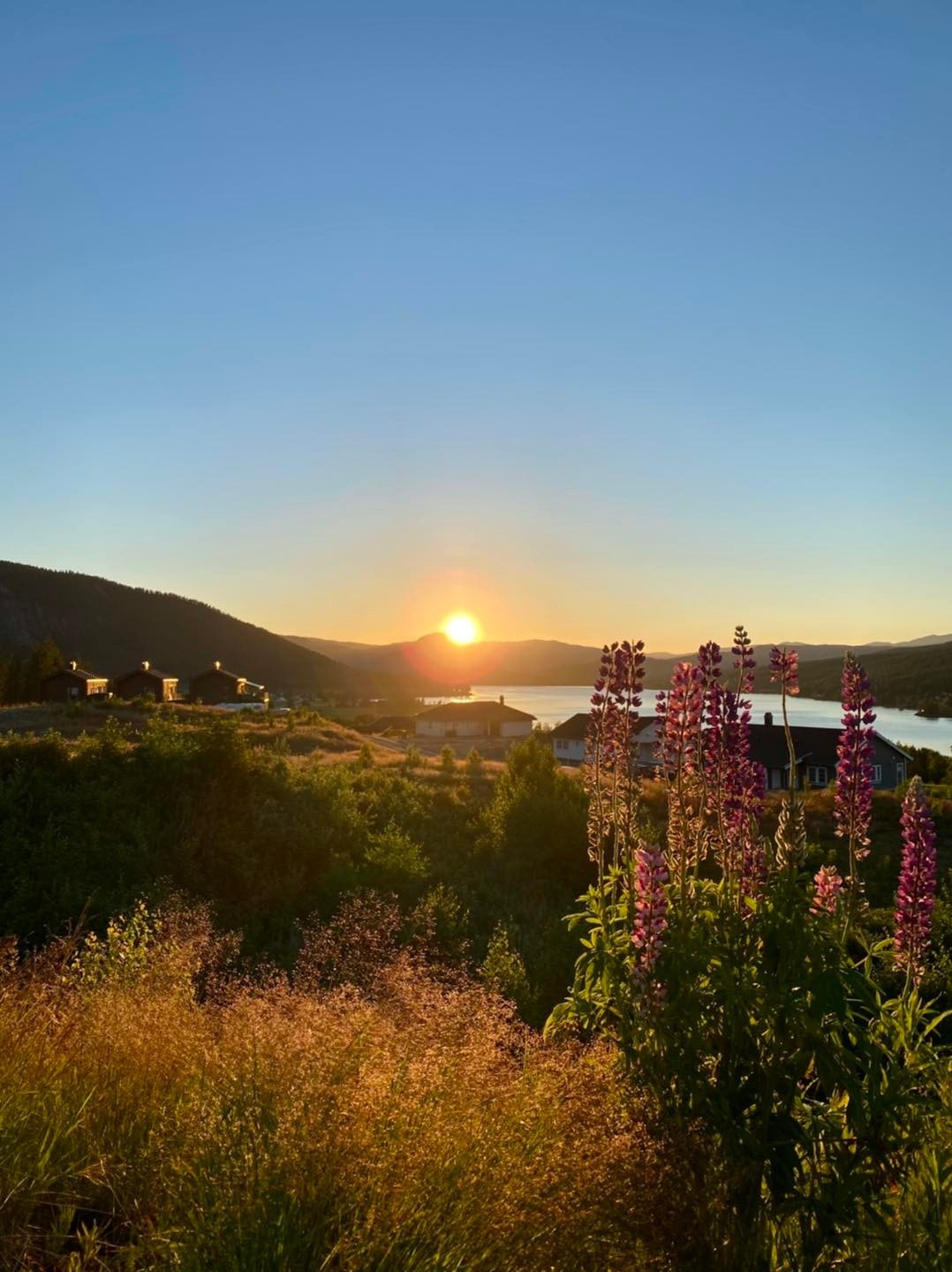 Solnedgang på Sandsbråten. Galleribilde