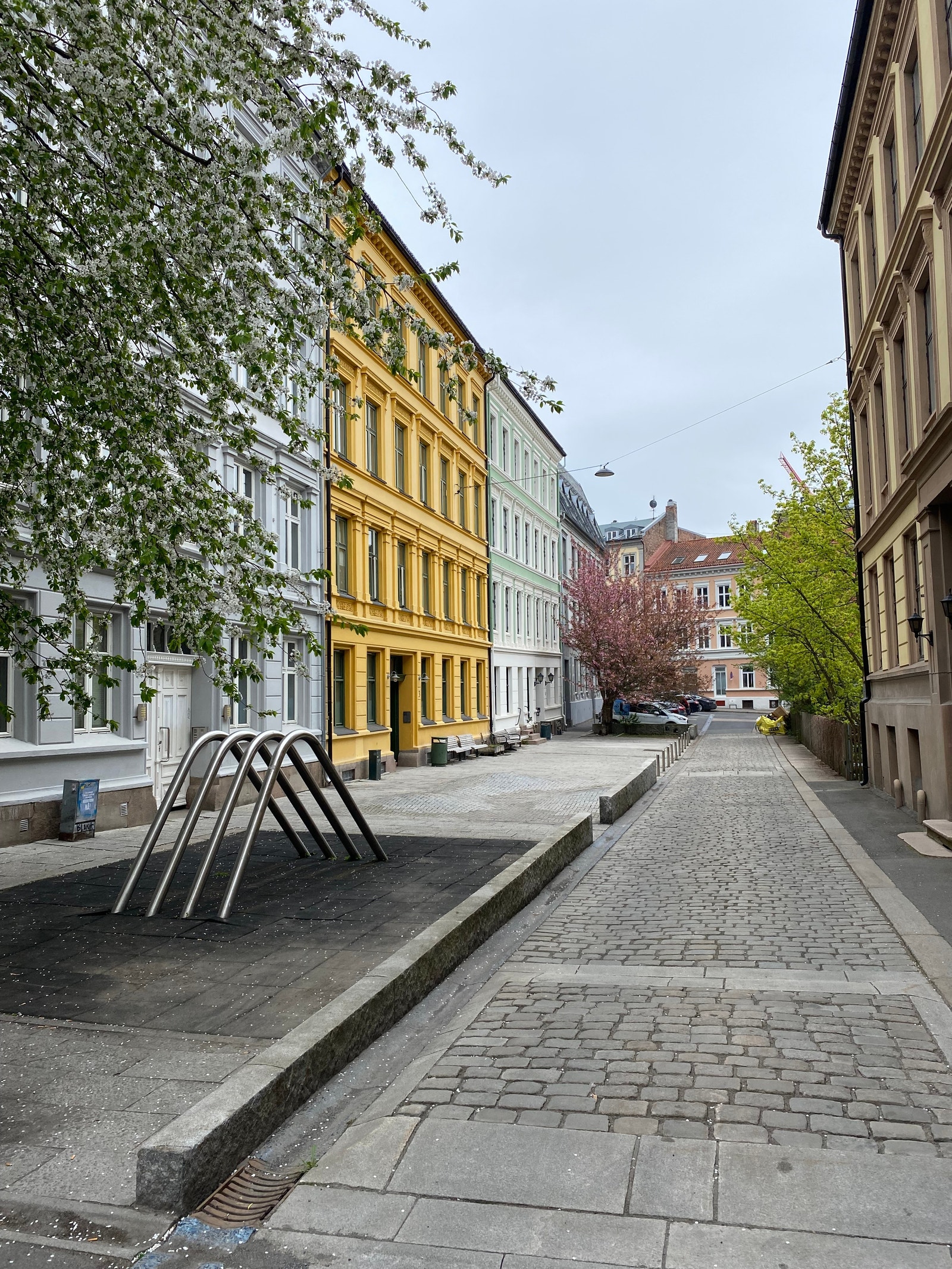 Zetlitz gate Galleribilde
