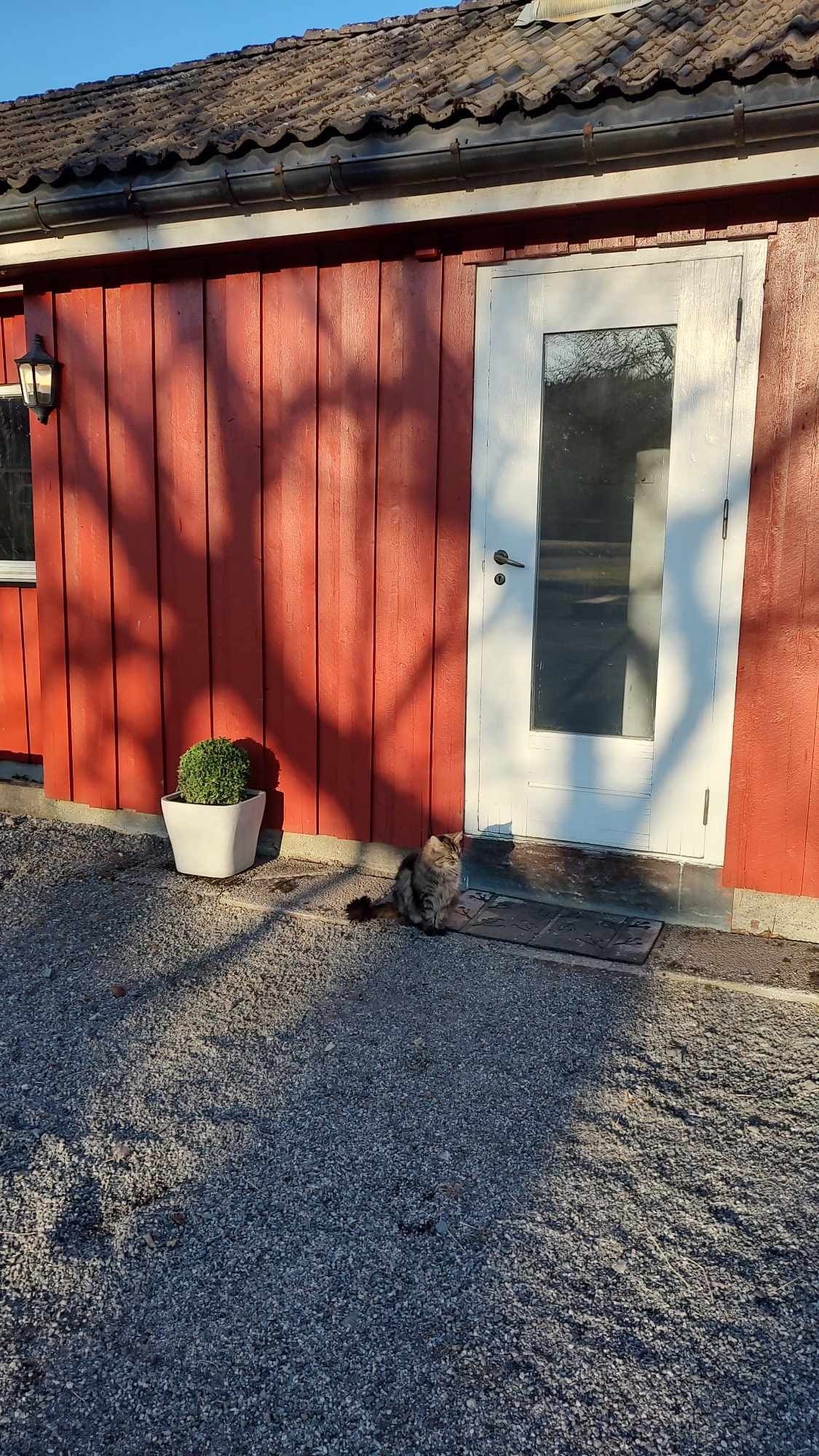 Inngangsdør. Galleribilde