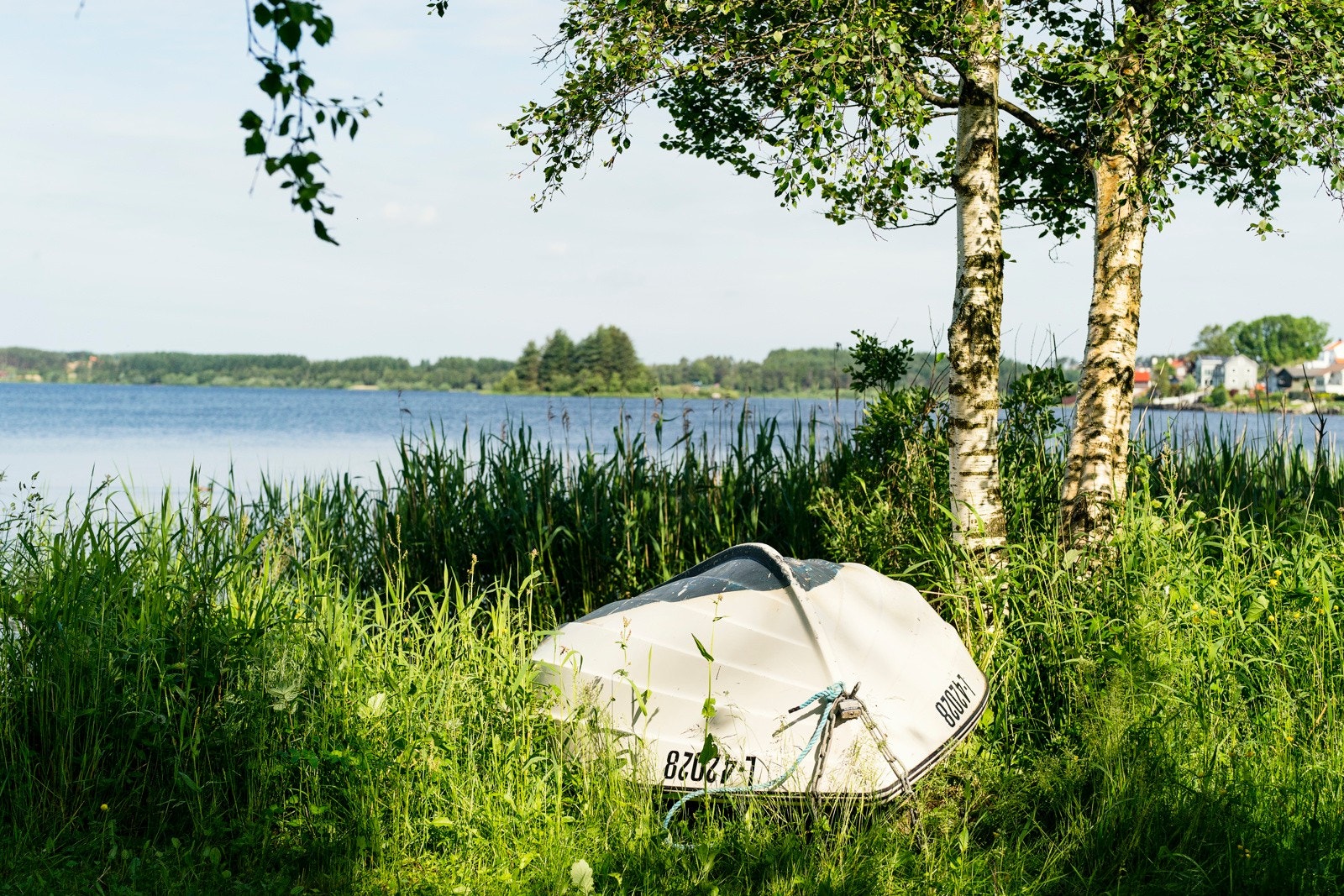 Område Galleribilde