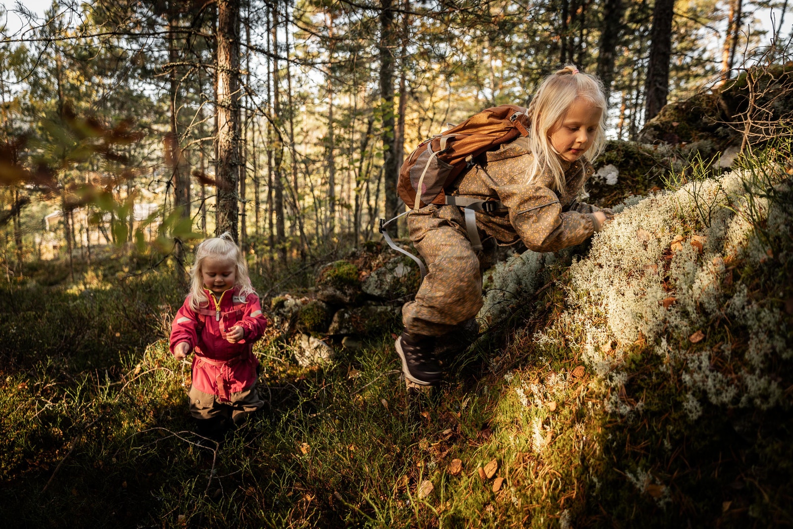 Lek i naturen Galleribilde