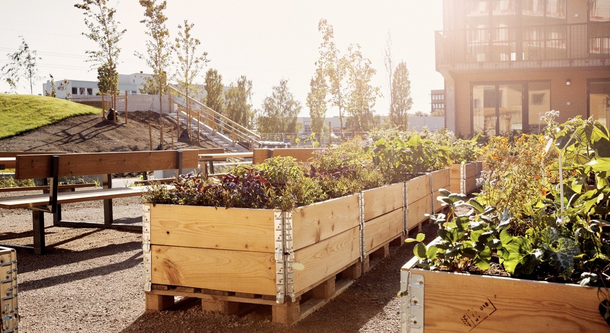 Kanskje borettslaget kan lage sitt egen hagelag - mulighetene på takterrassen er mange Galleribilde