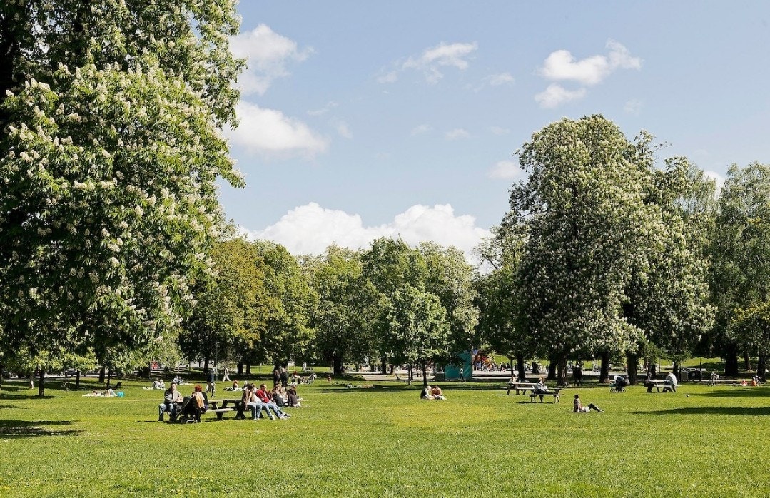 Sofienbergparken Galleribilde