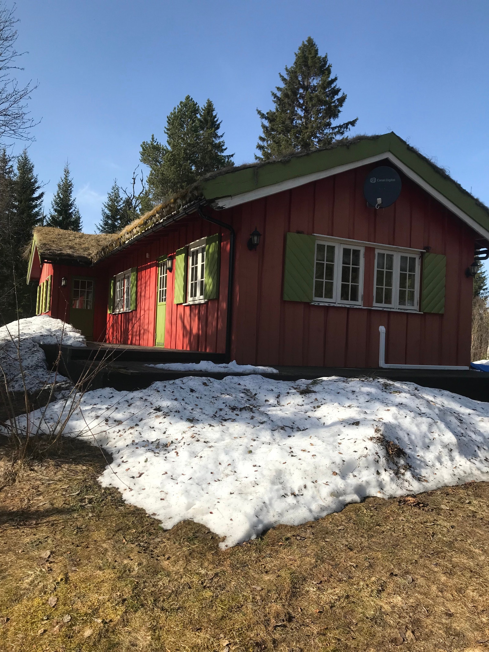 ankomst i kvelds sol Galleribilde
