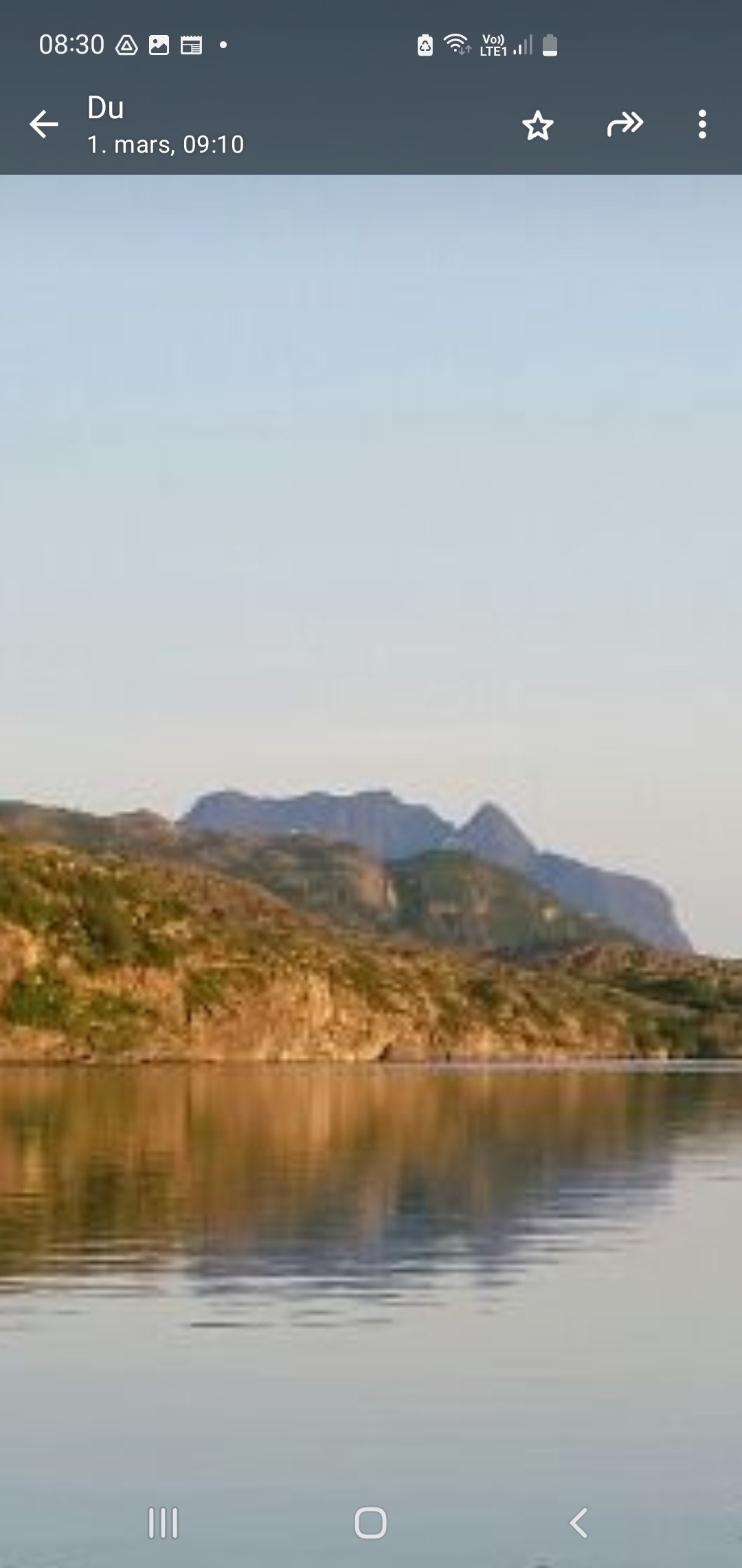 Utsikt mot Dønnmann Galleribilde