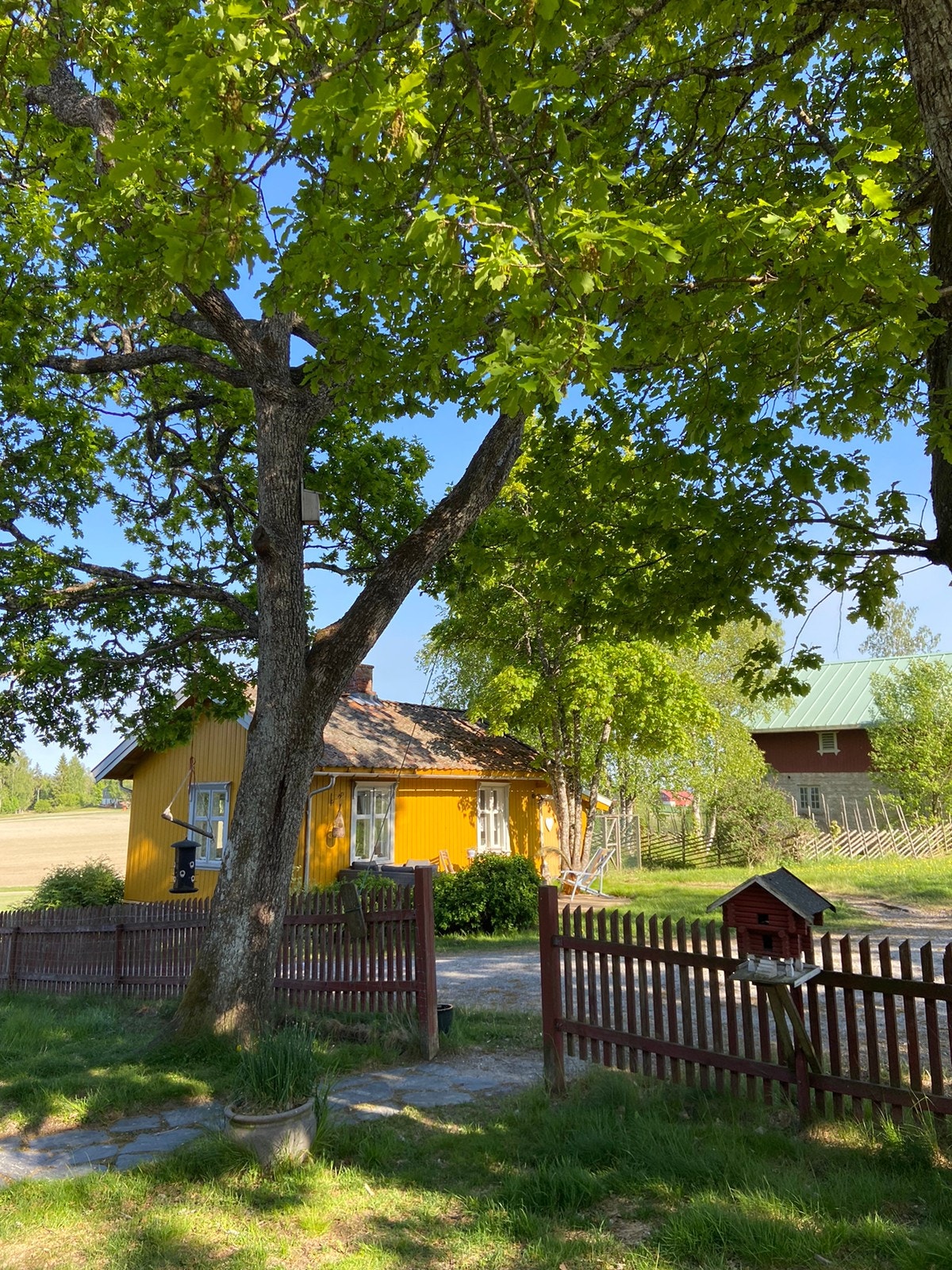 Se link i teksten for flere bilder Galleribilde