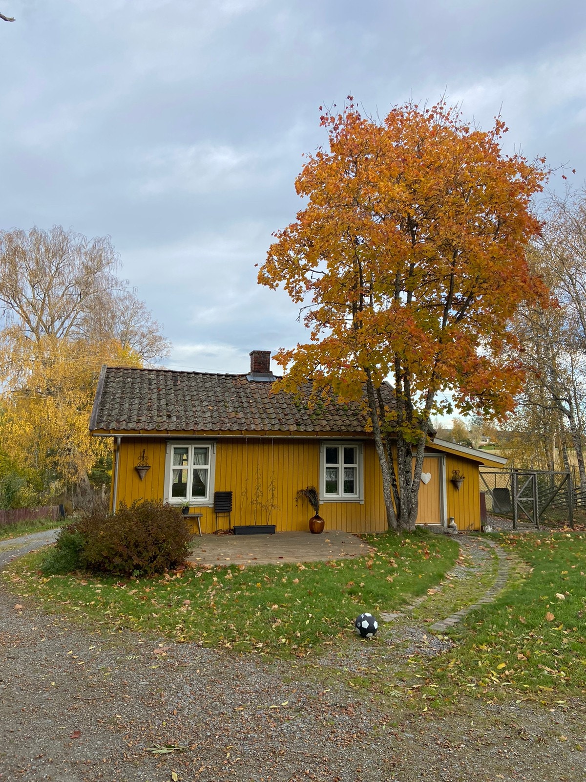 Se link i teksten for flere bilder Galleribilde