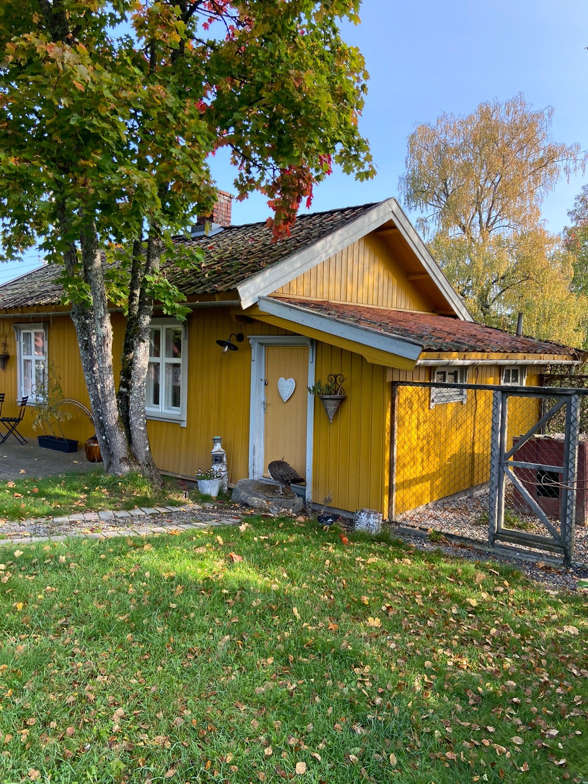 Se link i teksten for flere bilder Galleribilde