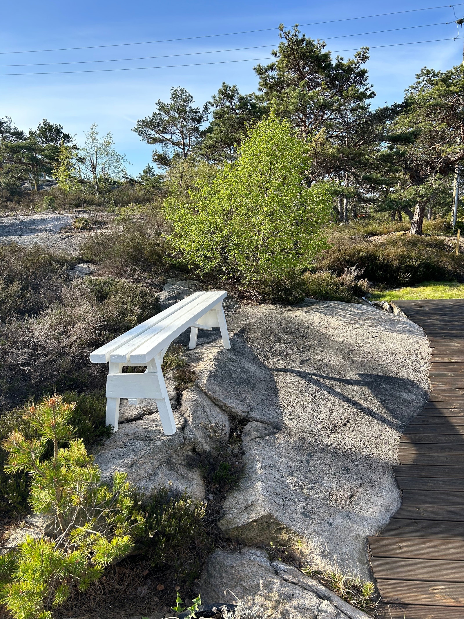 Hyggelig benk med fjordgløtt Galleribilde