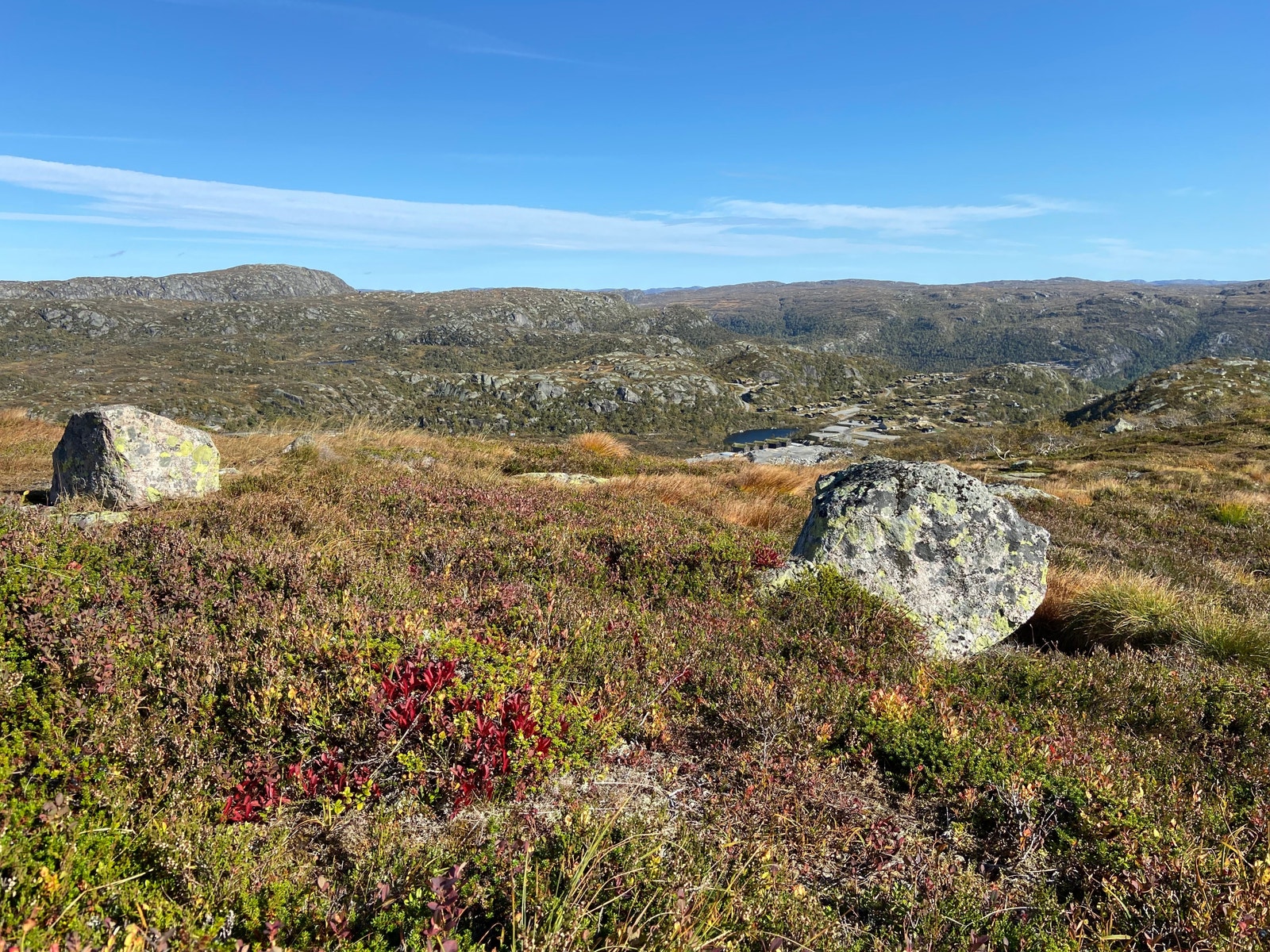 Grønlihøgda i bakgrunnen. Galleribilde