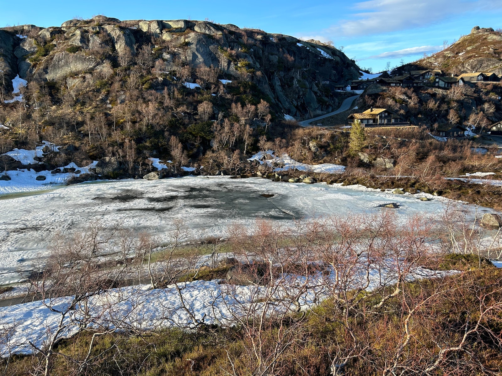 Fra tomten Galleribilde