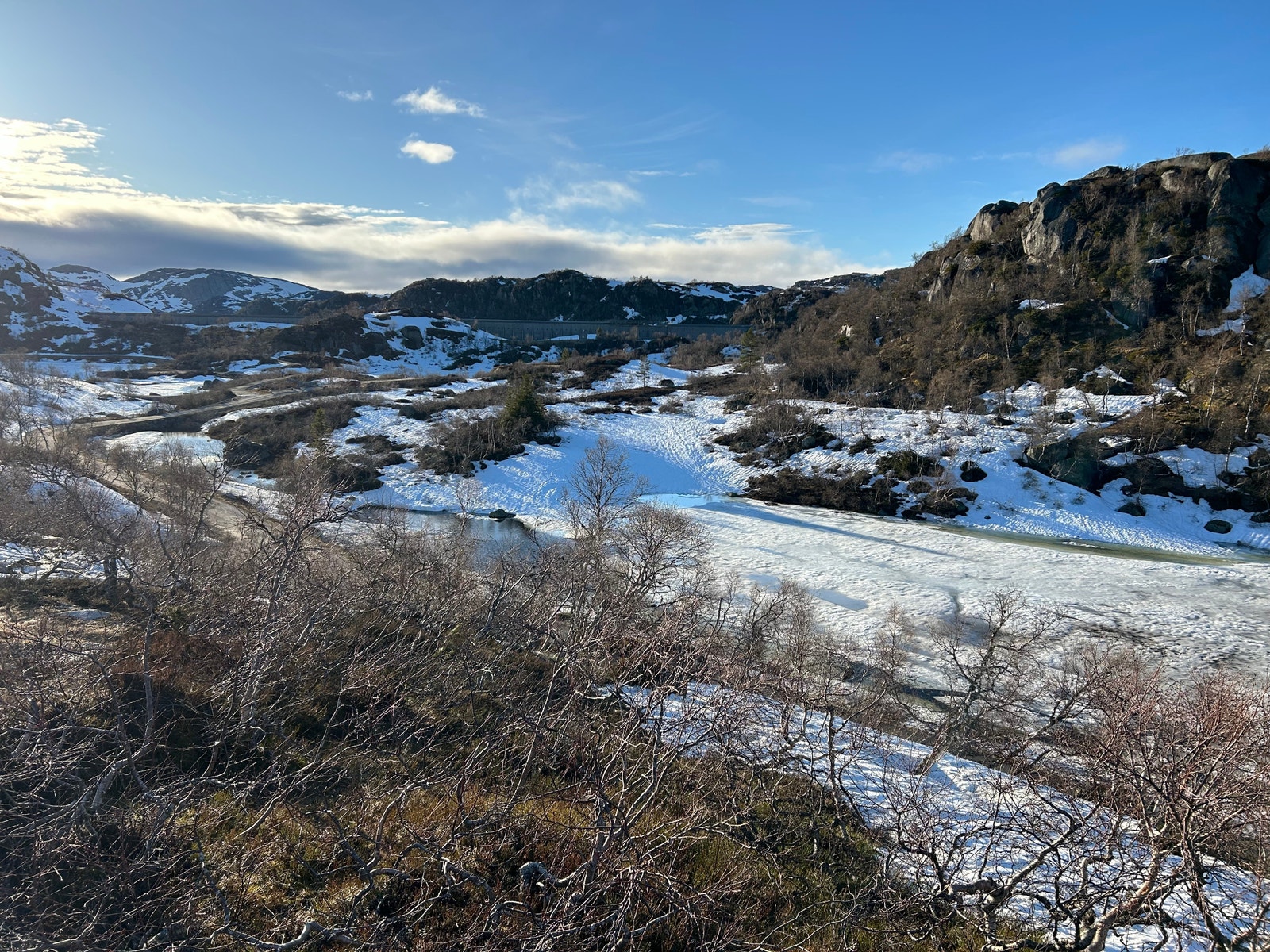 Fra tomten Galleribilde