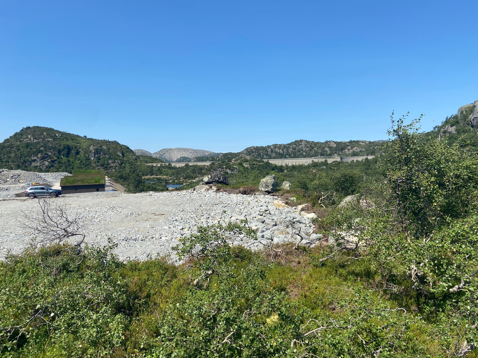 Fra tomten. Sommer Galleribilde