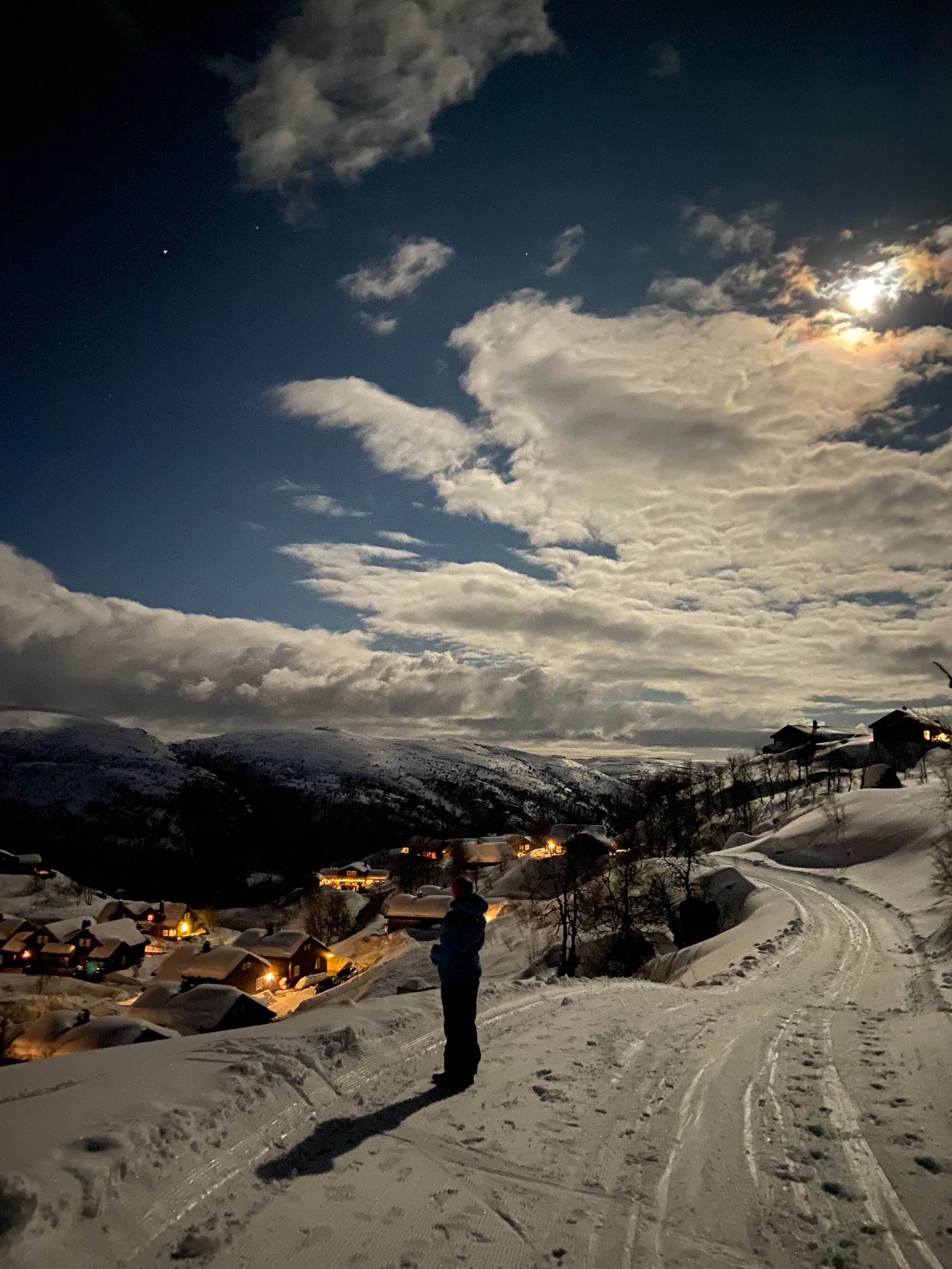 Ljosland i måneskinn Galleribilde
