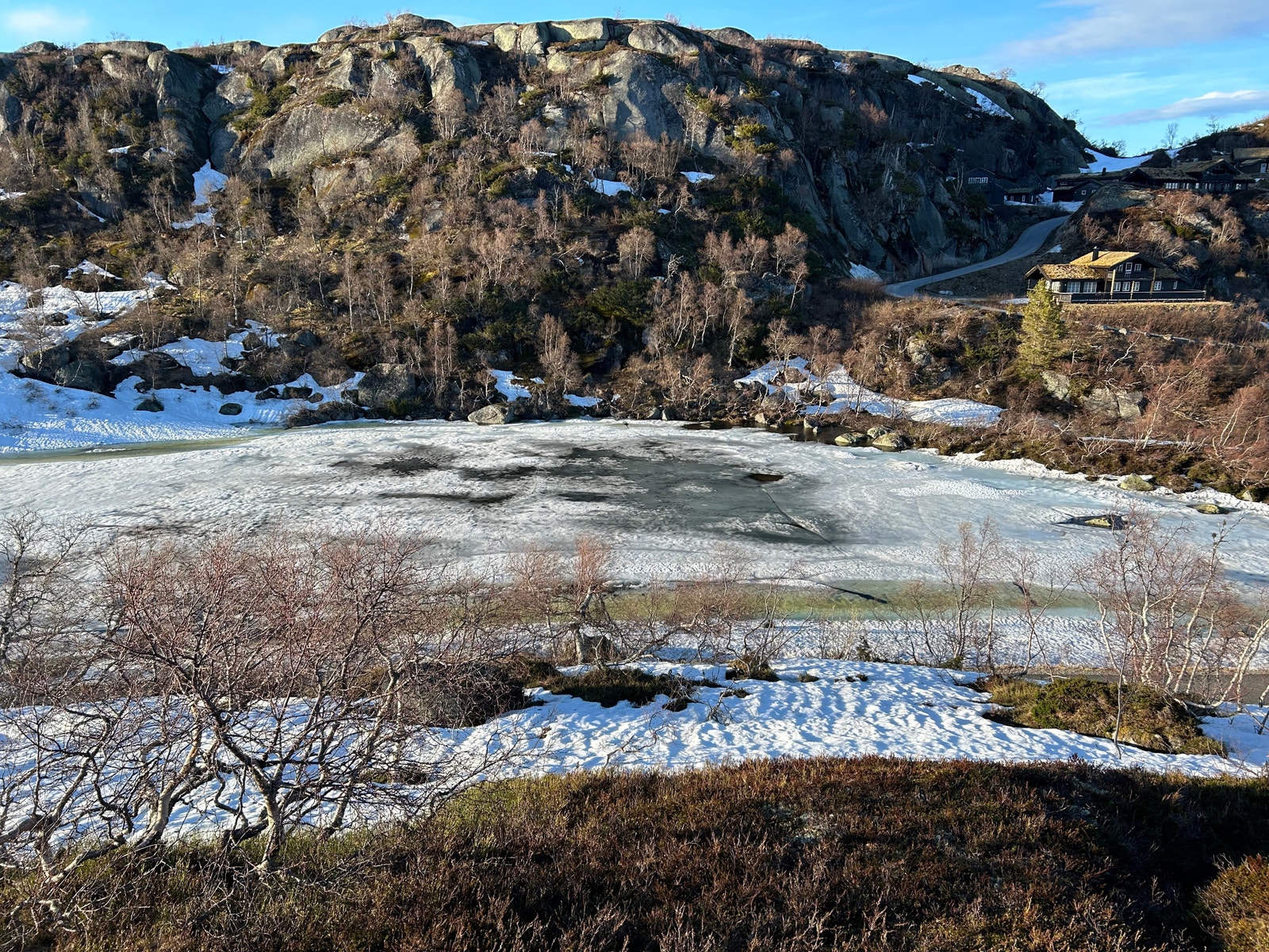 Fra tomten Galleribilde