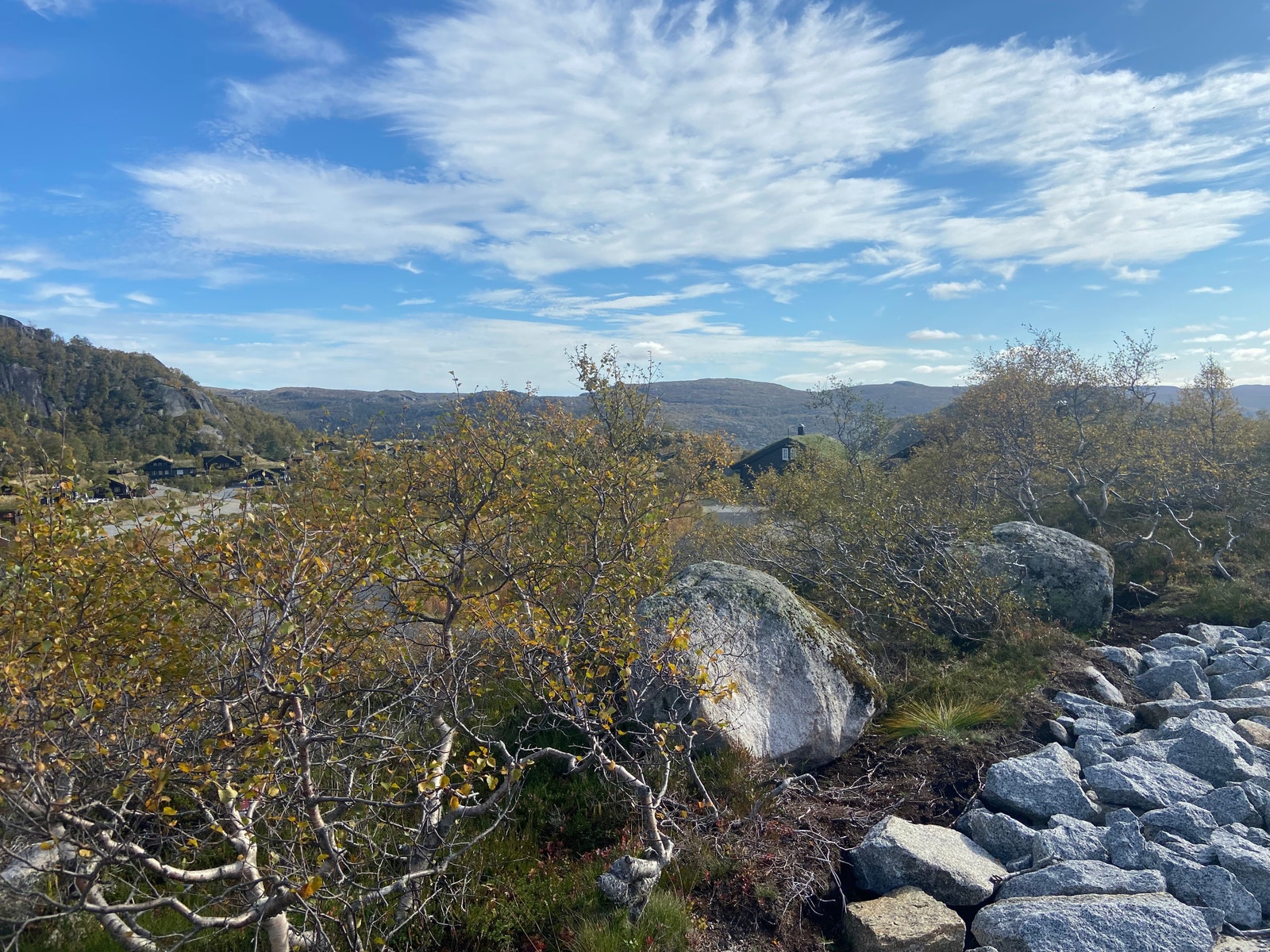 Fra tomten. Sommer Galleribilde