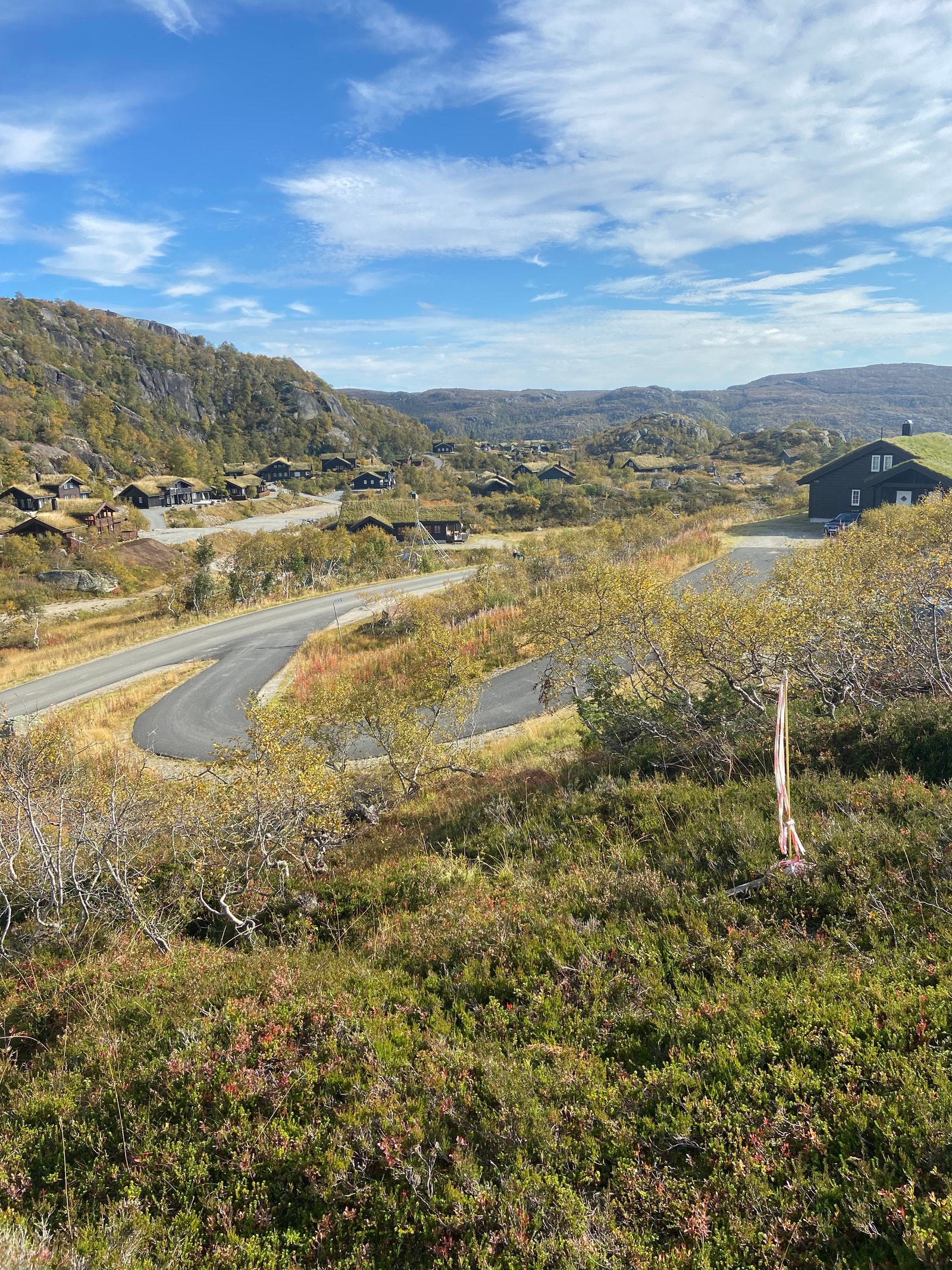 Fra tomten. Sommer Galleribilde