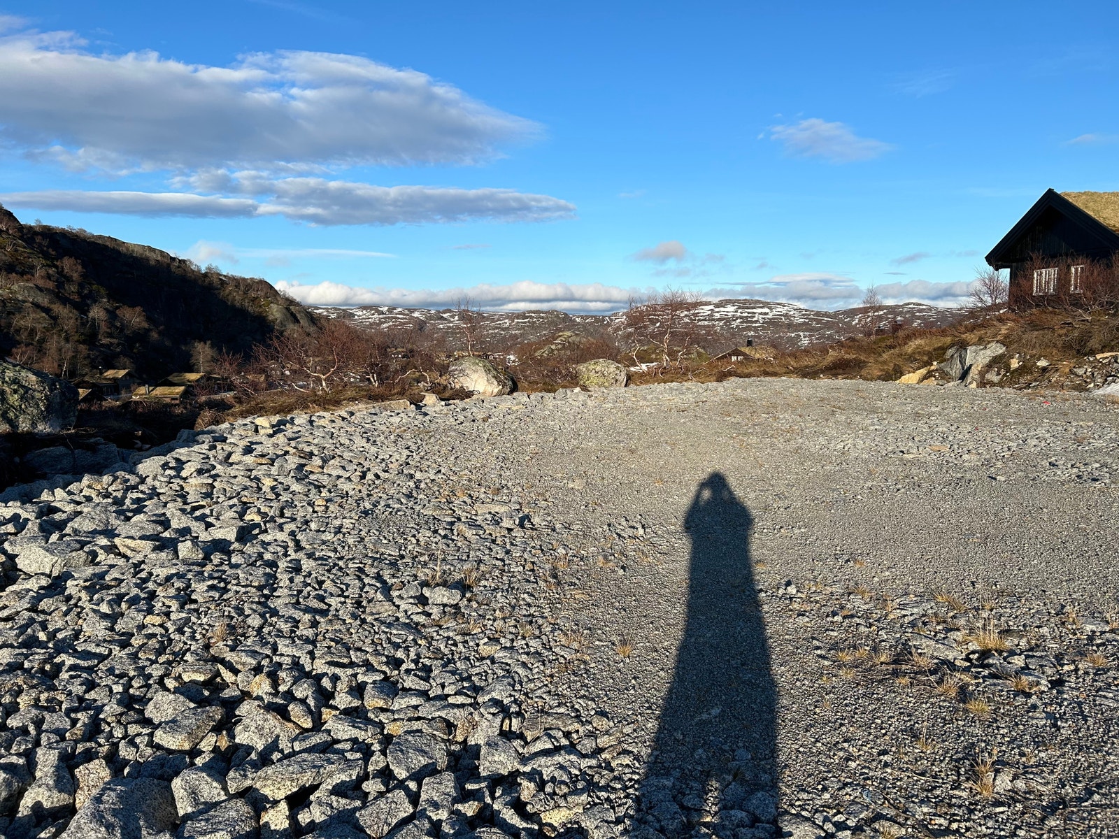 Fra tomten Galleribilde