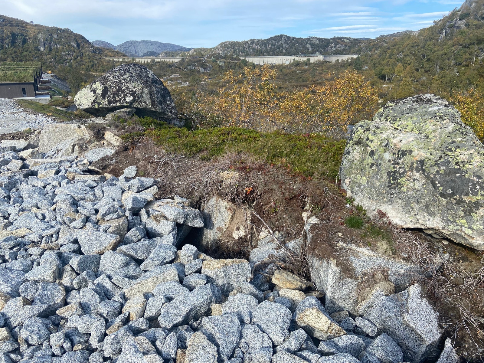 Fra tomten. Sommer Galleribilde