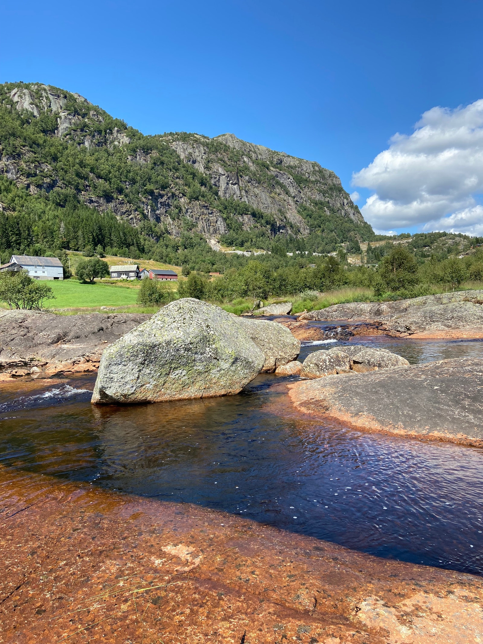 Nærområde Galleribilde