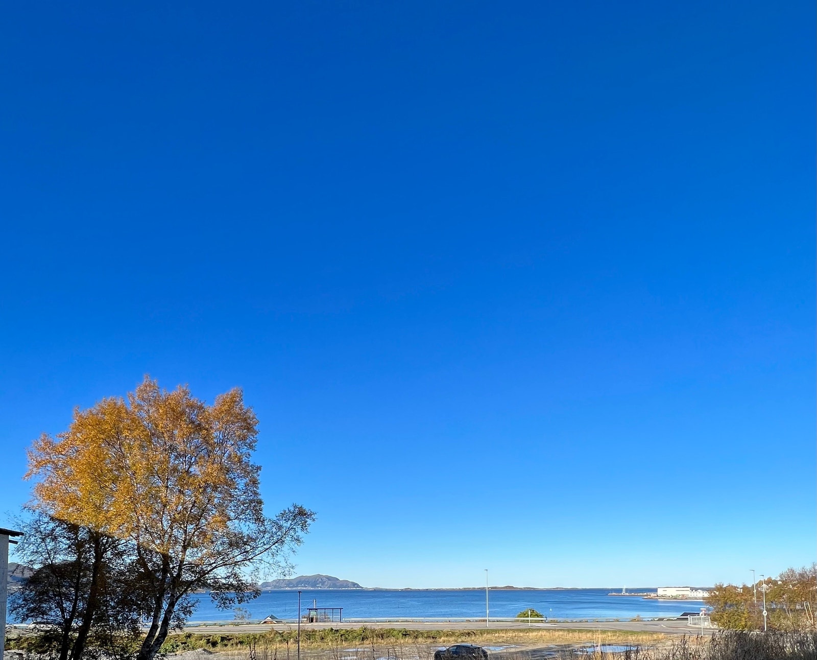 utsikt fra bakkeplan Galleribilde