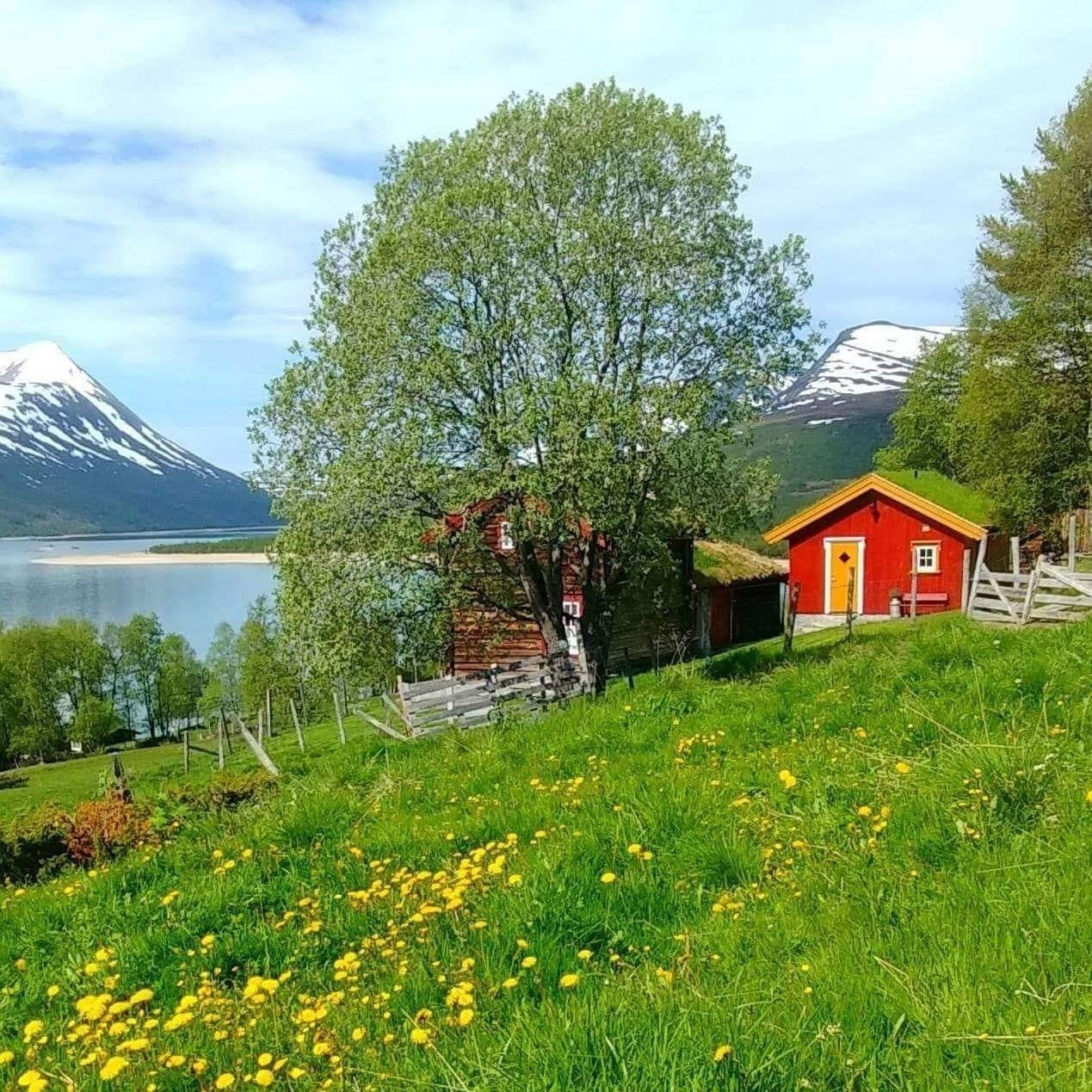 Setra ligger i vakre Gjevilvassdalen, bare noen hundre meter fra Gjevilvasshytta og ved inngangen til Trollheimen. Det perfekte utgangspunkt for turer i fjellet! Galleribilde