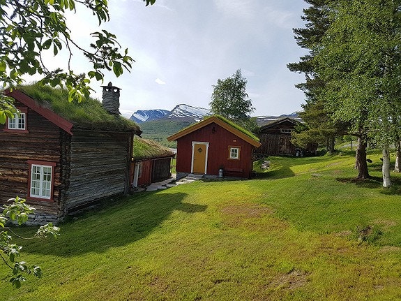 Tunet består av 3 hus. Setra, som er beholdt i gammel stand, "kokhuset" som er nybygd og har moderne bad og kjøkken med innlagt vann og avløp, samt vaskemaskin, oppvaskmaskin osv., og til sist fjøset, hvor du finner den sjarmerende utedoen <3 Galleribilde