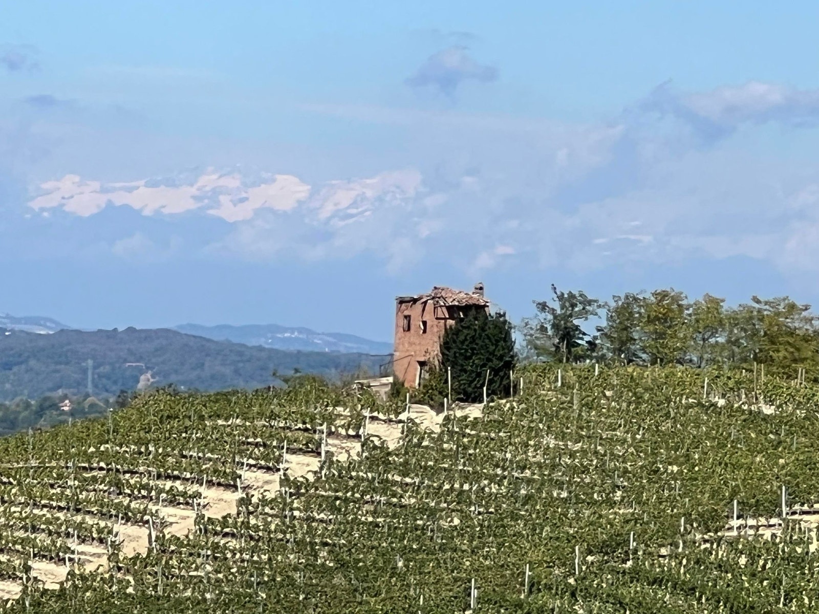 Nydelig turer i vinmarkene Galleribilde